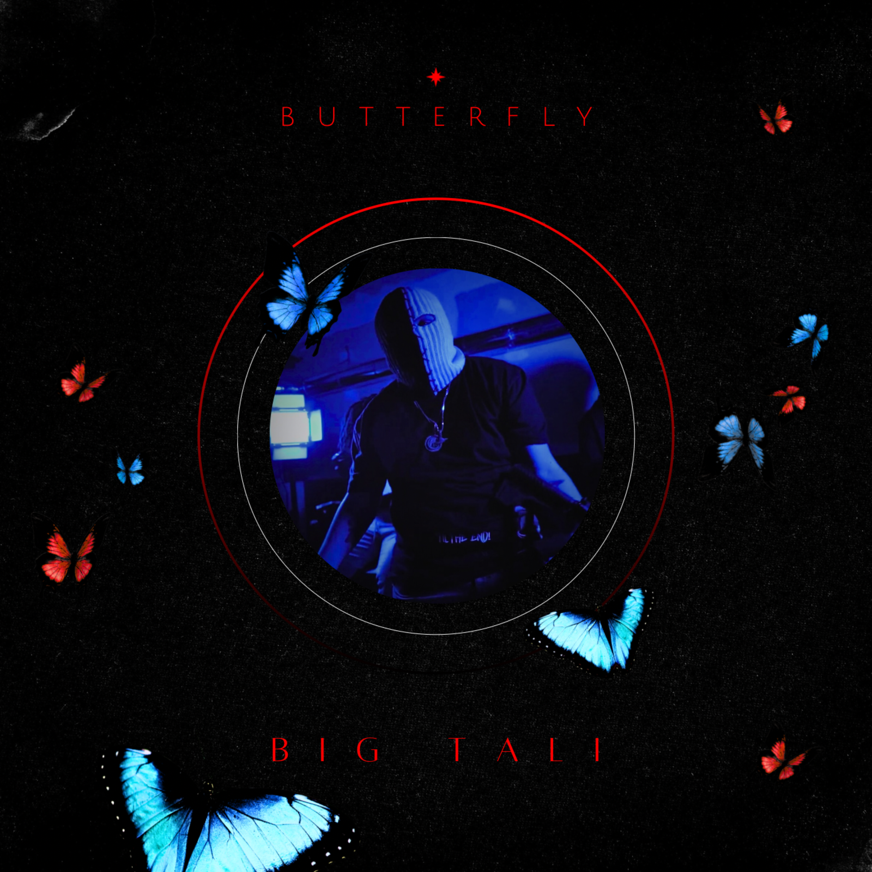 Butterfly artwork