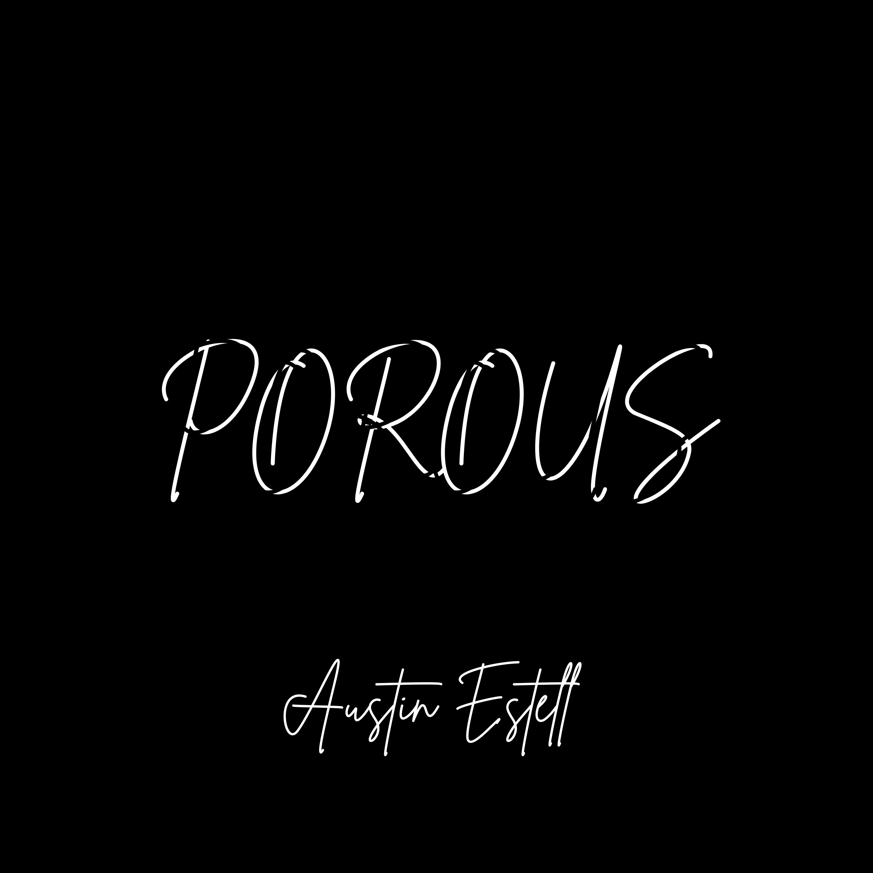 POROUS artwork