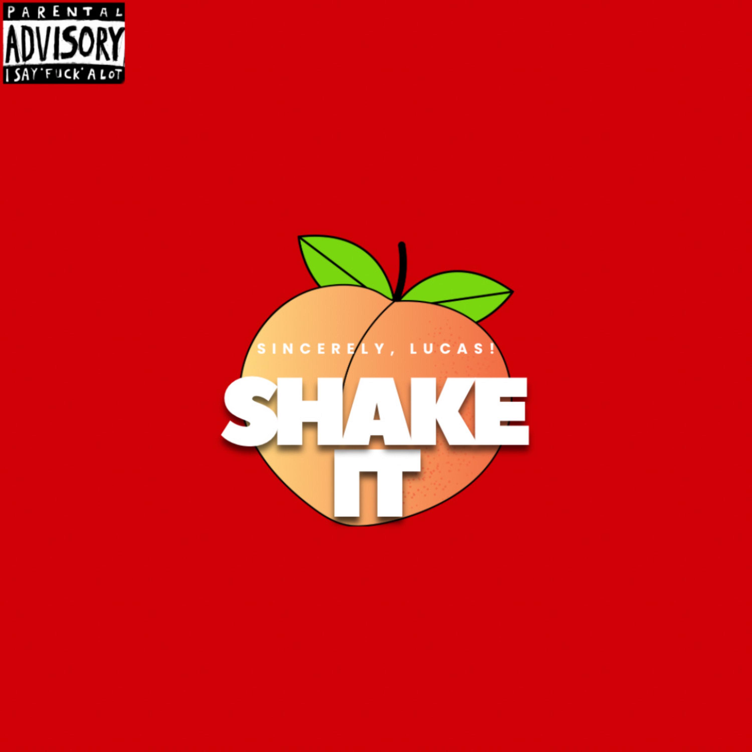 Shake It (4me) artwork