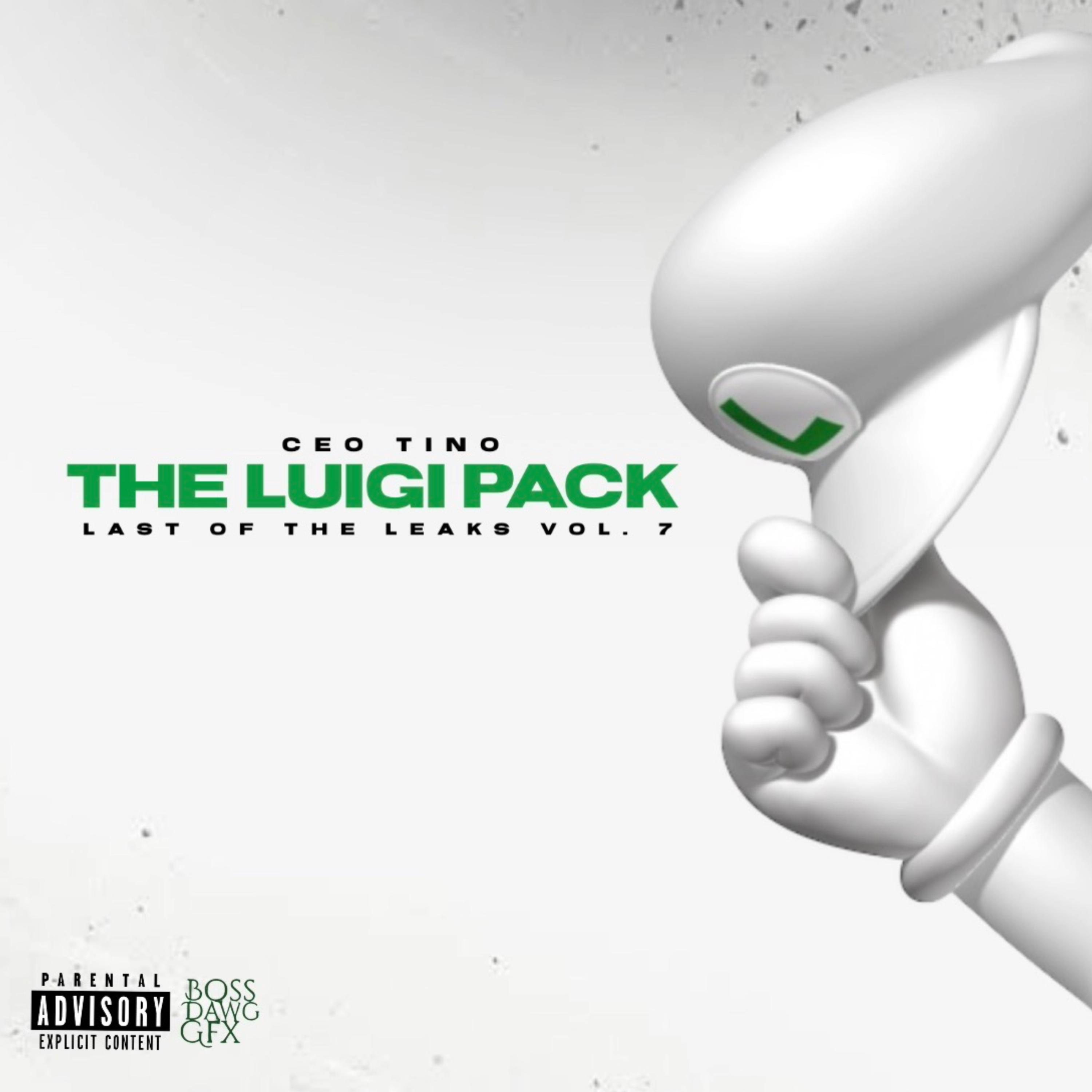 THE LUIGI PACK artwork