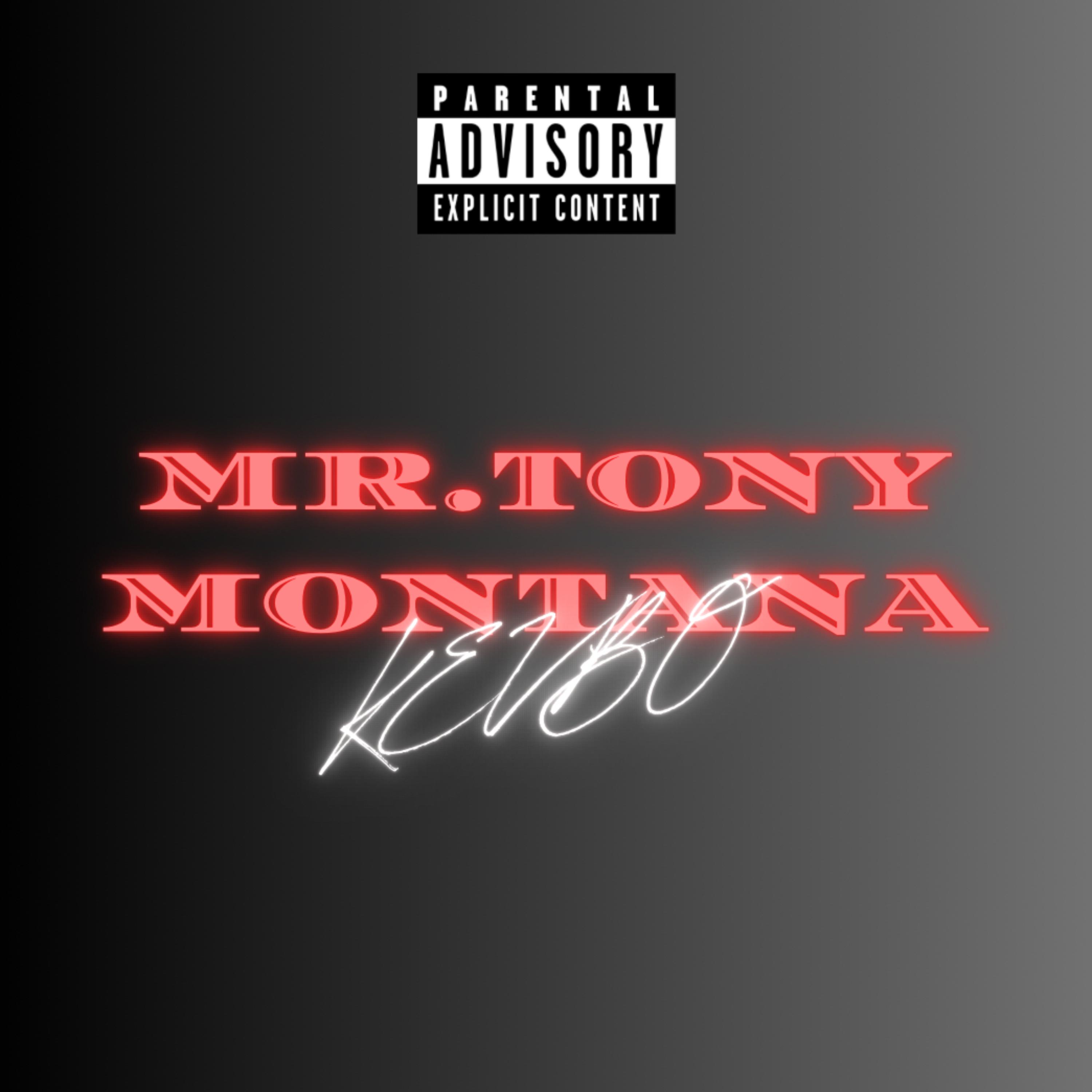MR.TONY MONTANA artwork