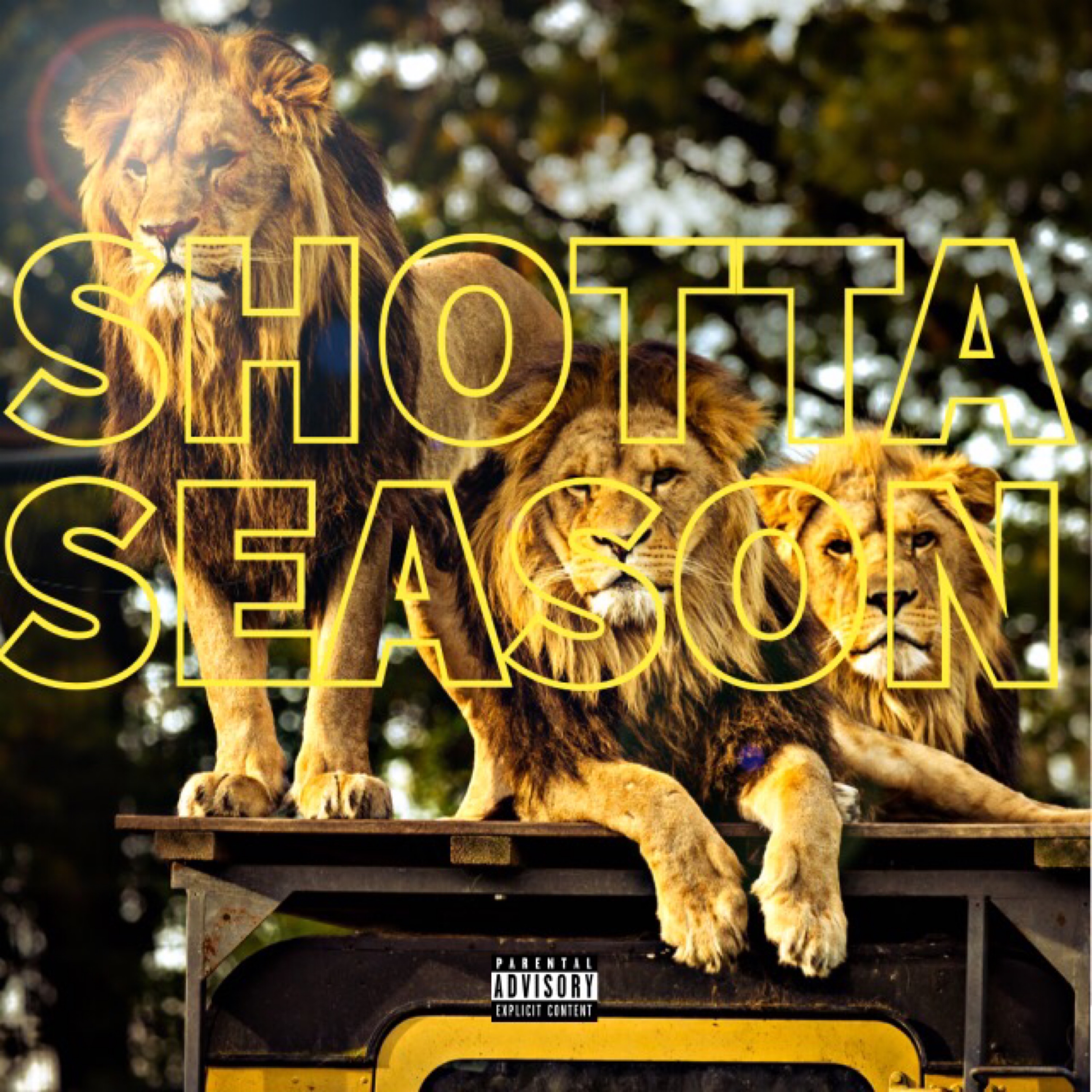 Shotta Season artwork