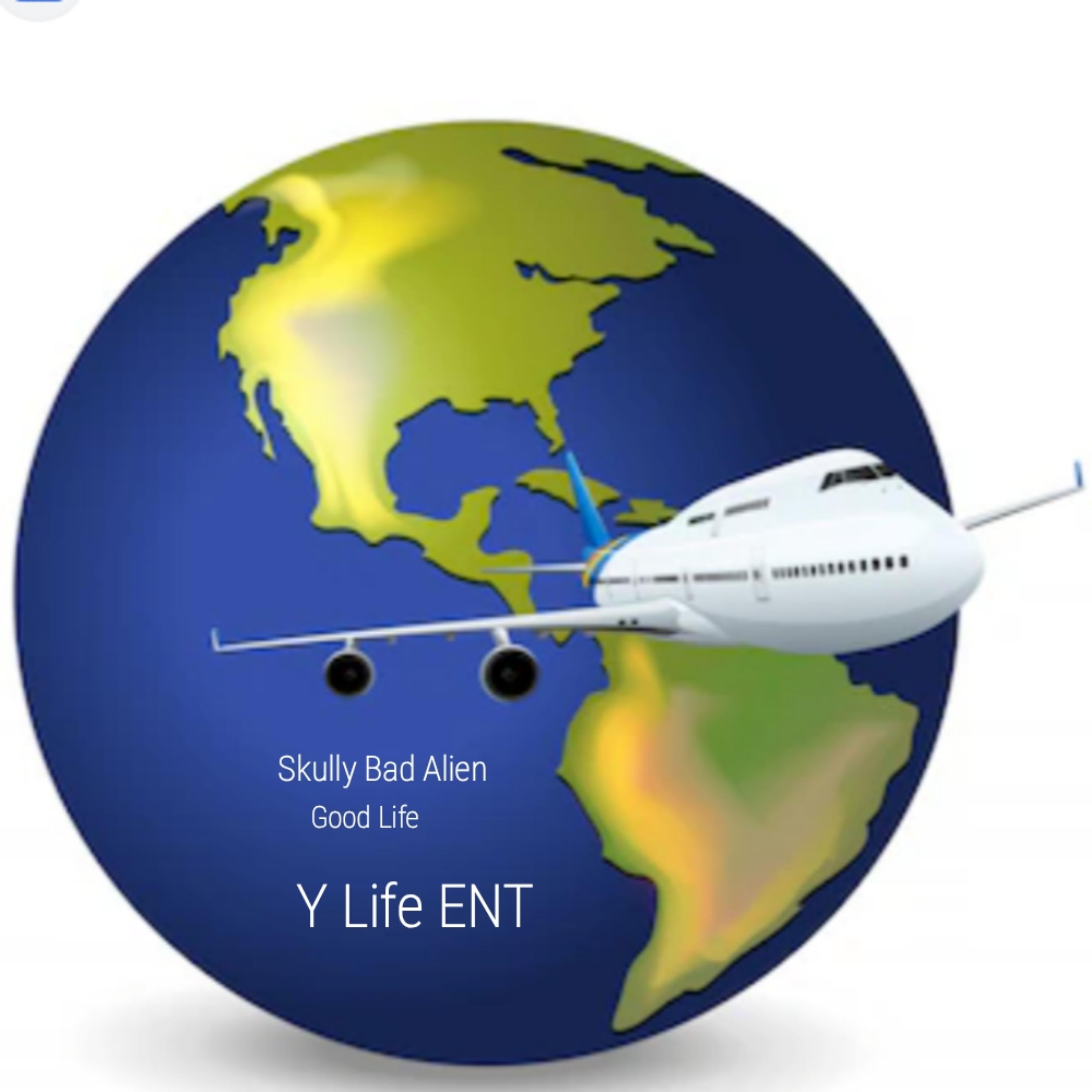 The good life artwork