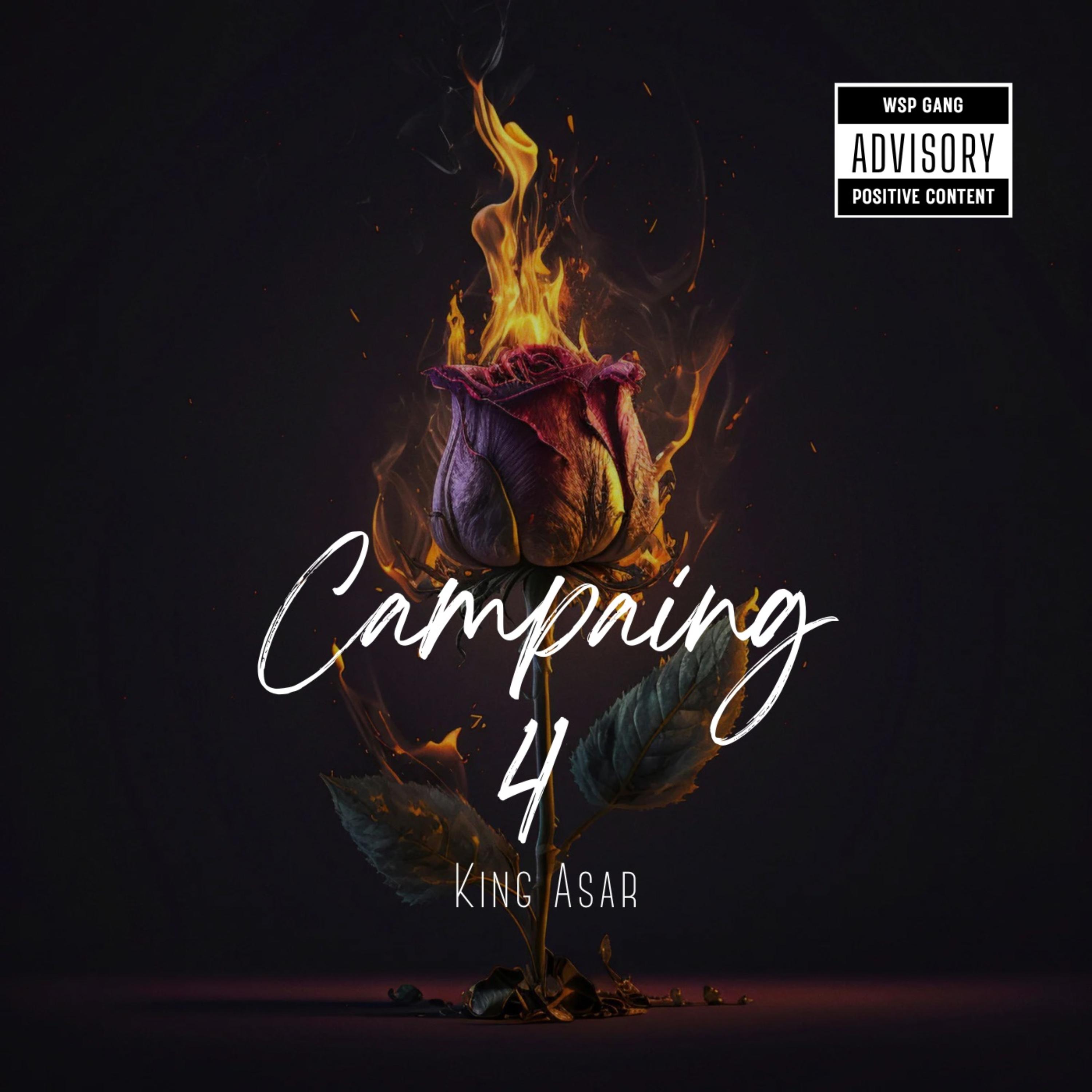 Campaign 4 artwork