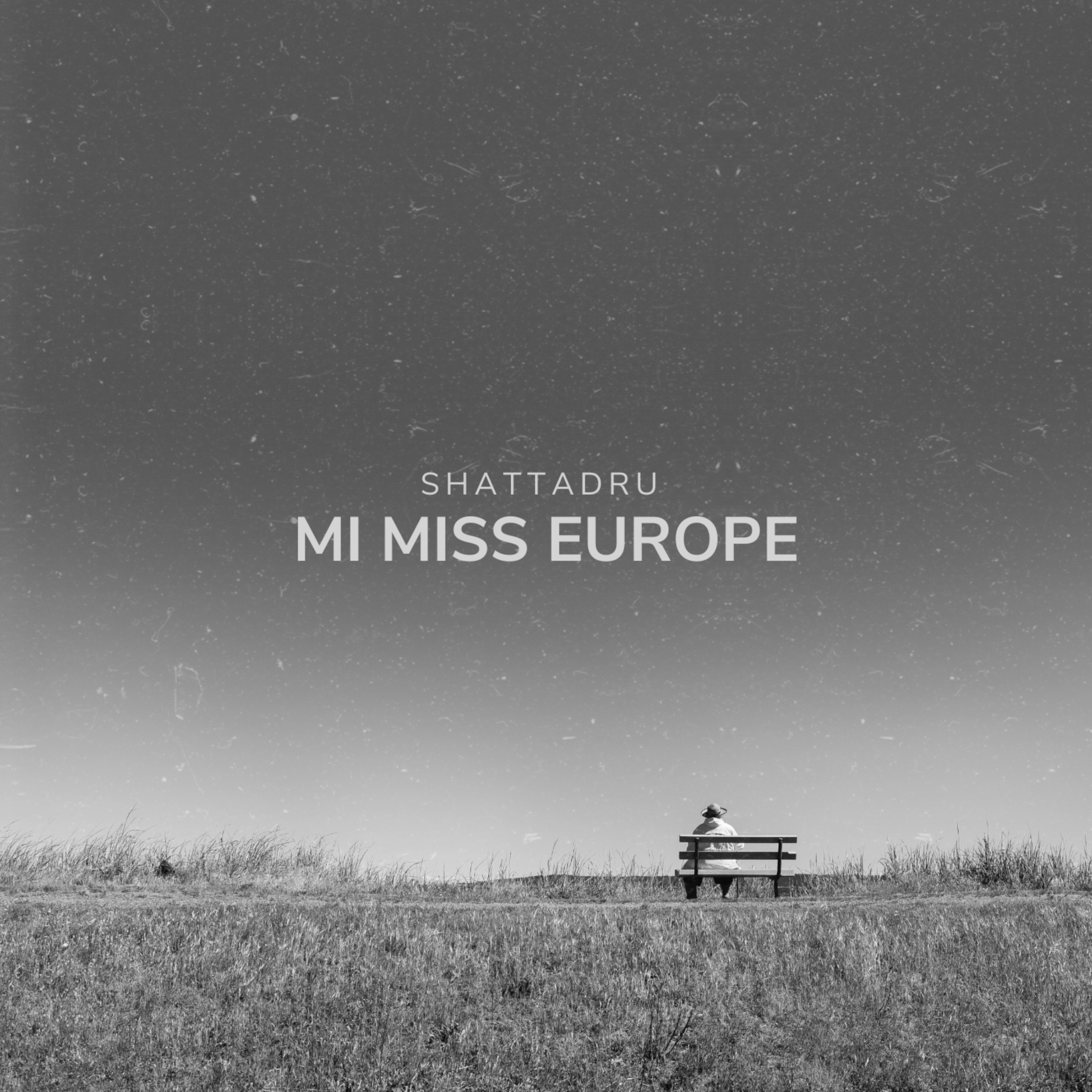 Mi Miss Europe artwork