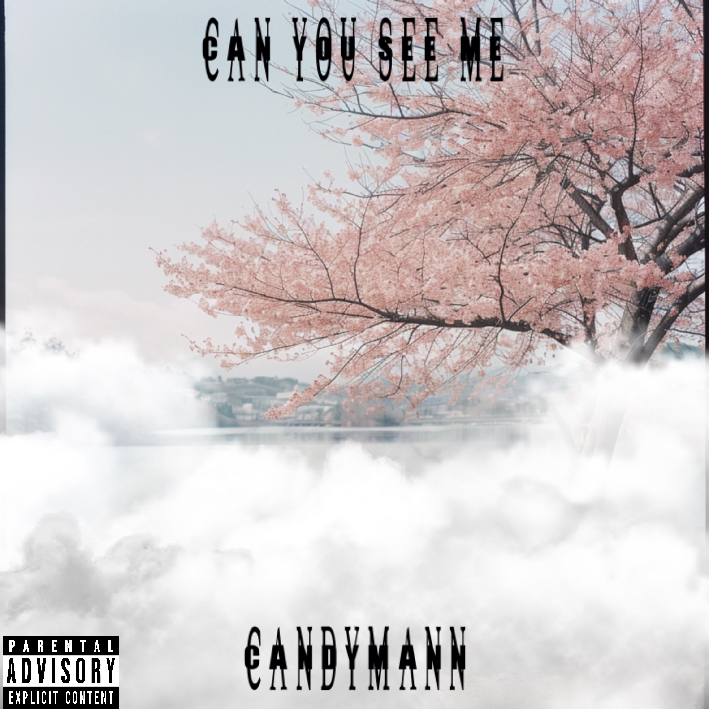 Can You See Me artwork