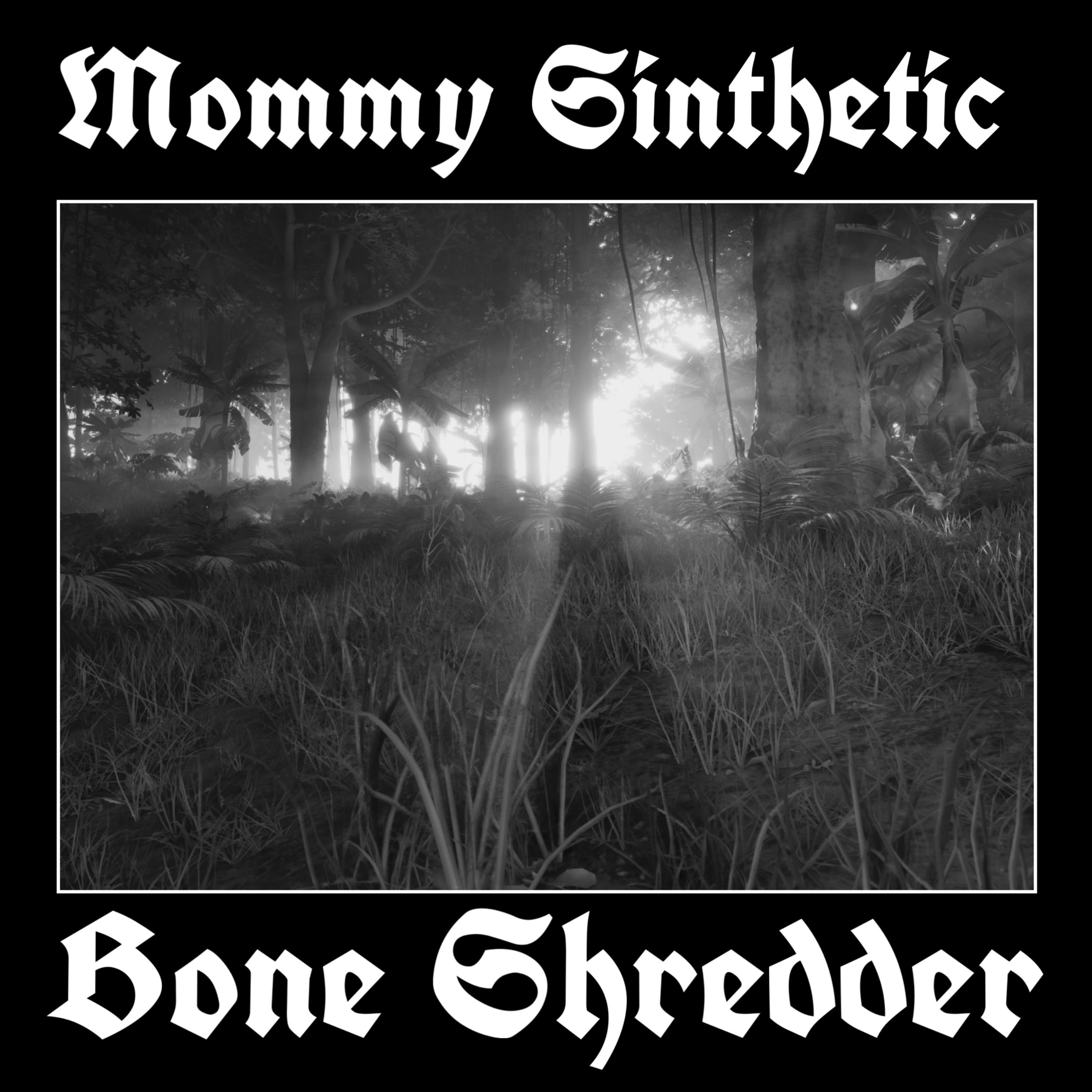 Bone Shredder (re-recorded) artwork