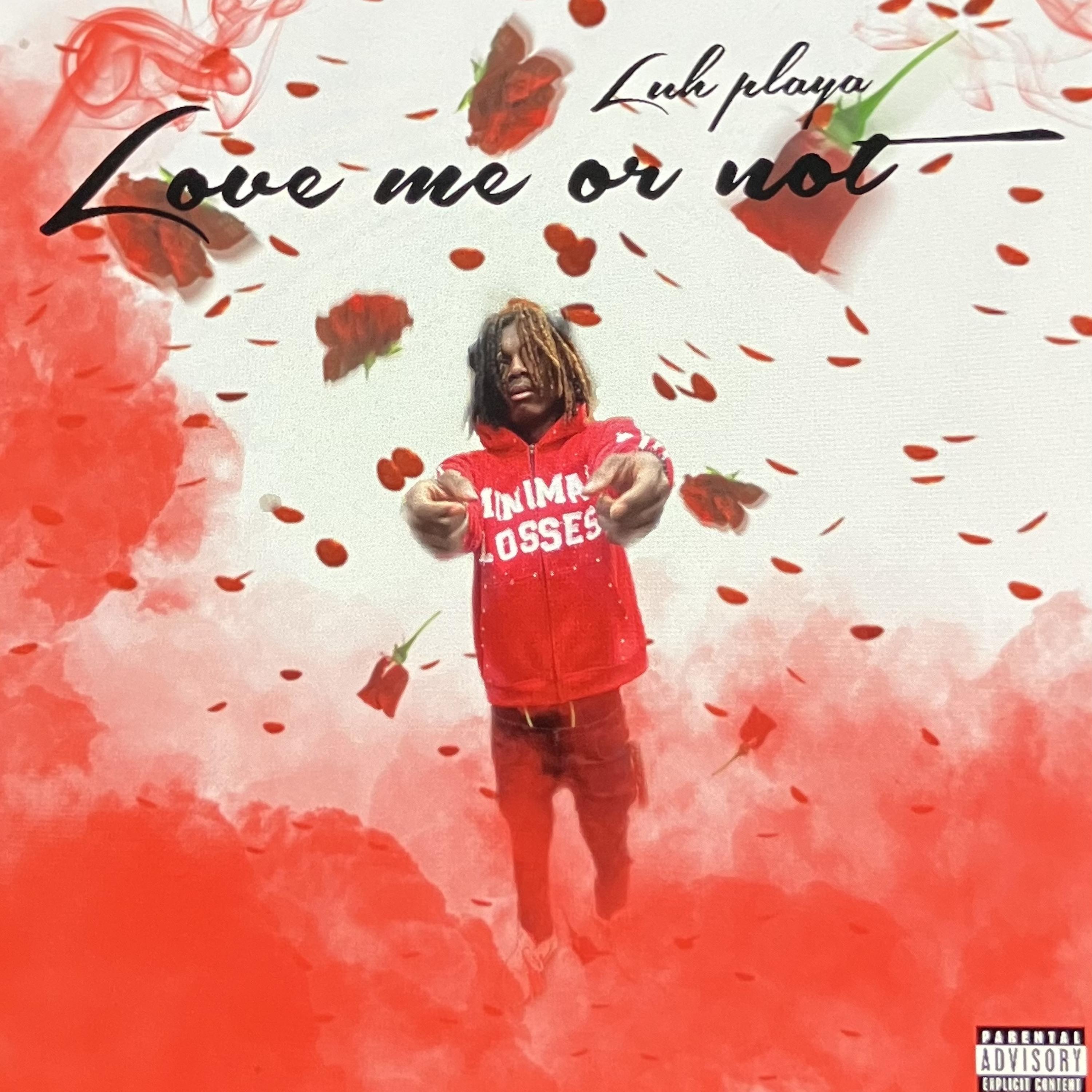 Love Me Or Not artwork