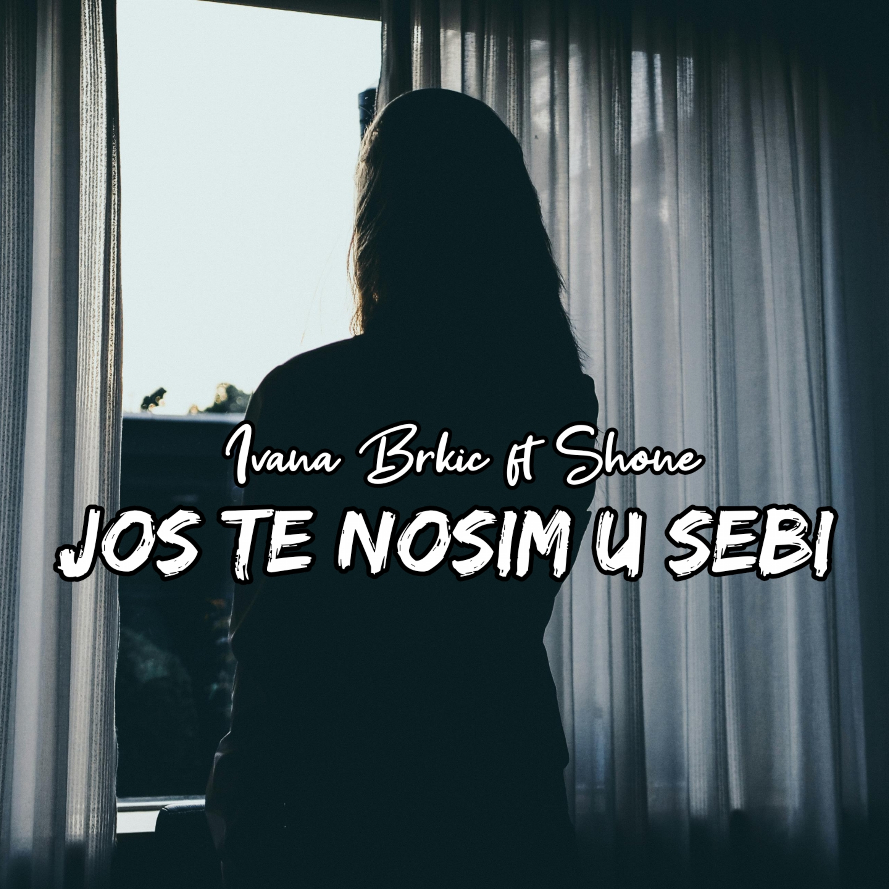 Jos te nosim u sebi artwork