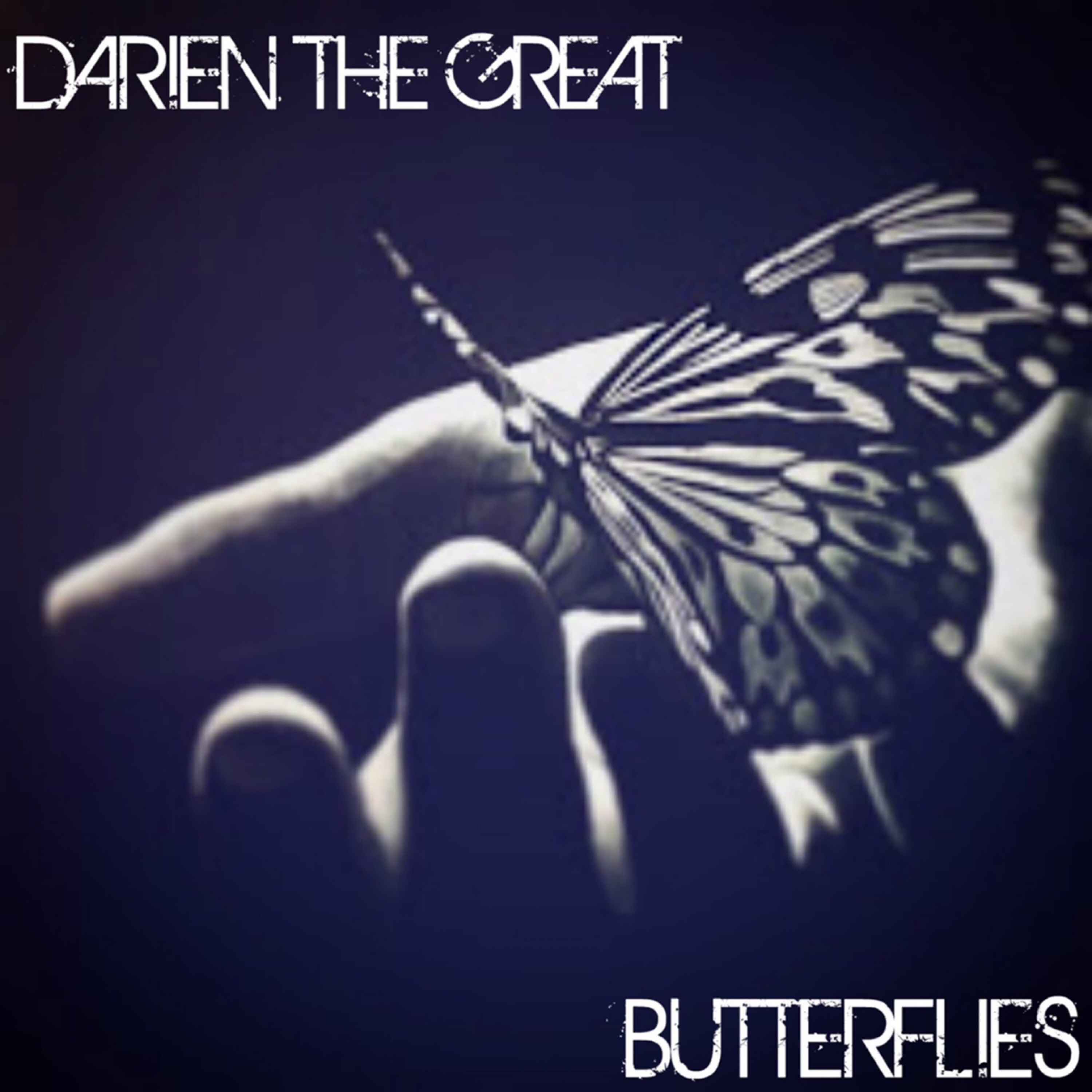 Butterflies artwork