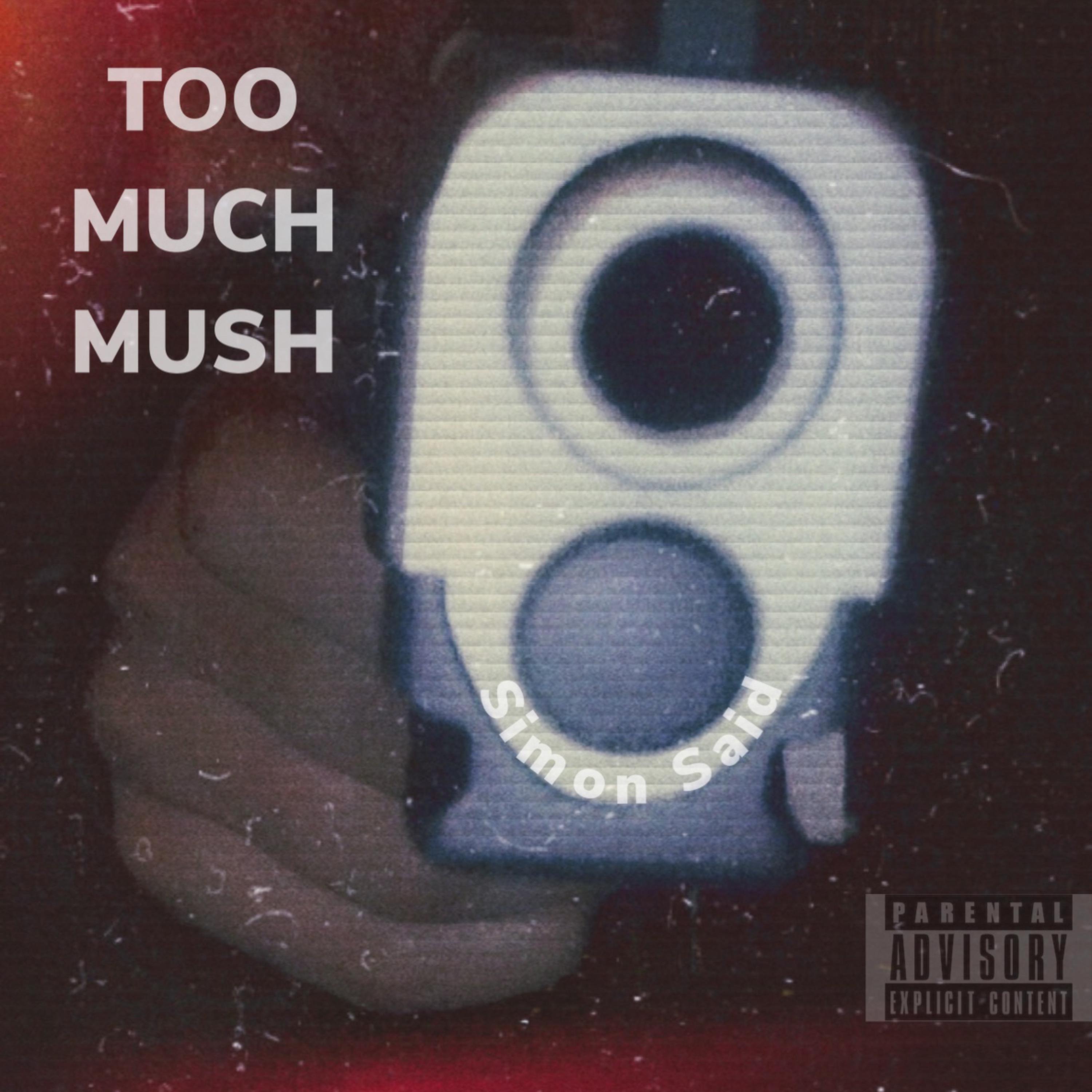 Simon Said by TOOMUCHMUSH cover art