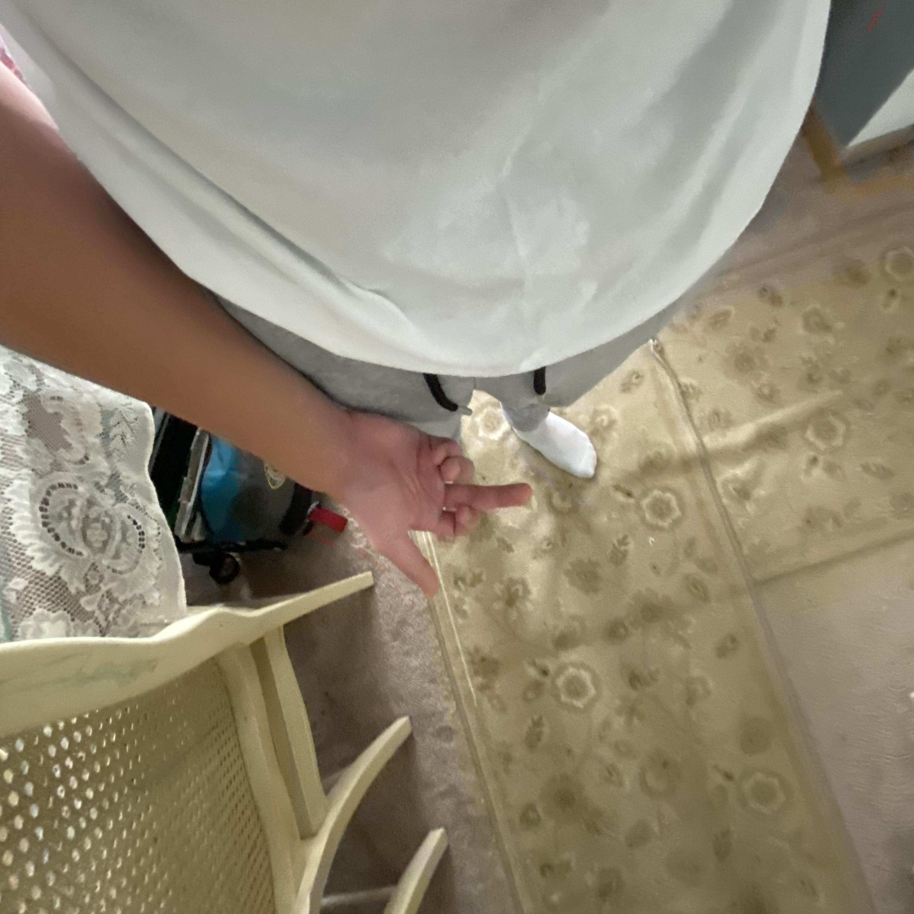 Money Counter artwork