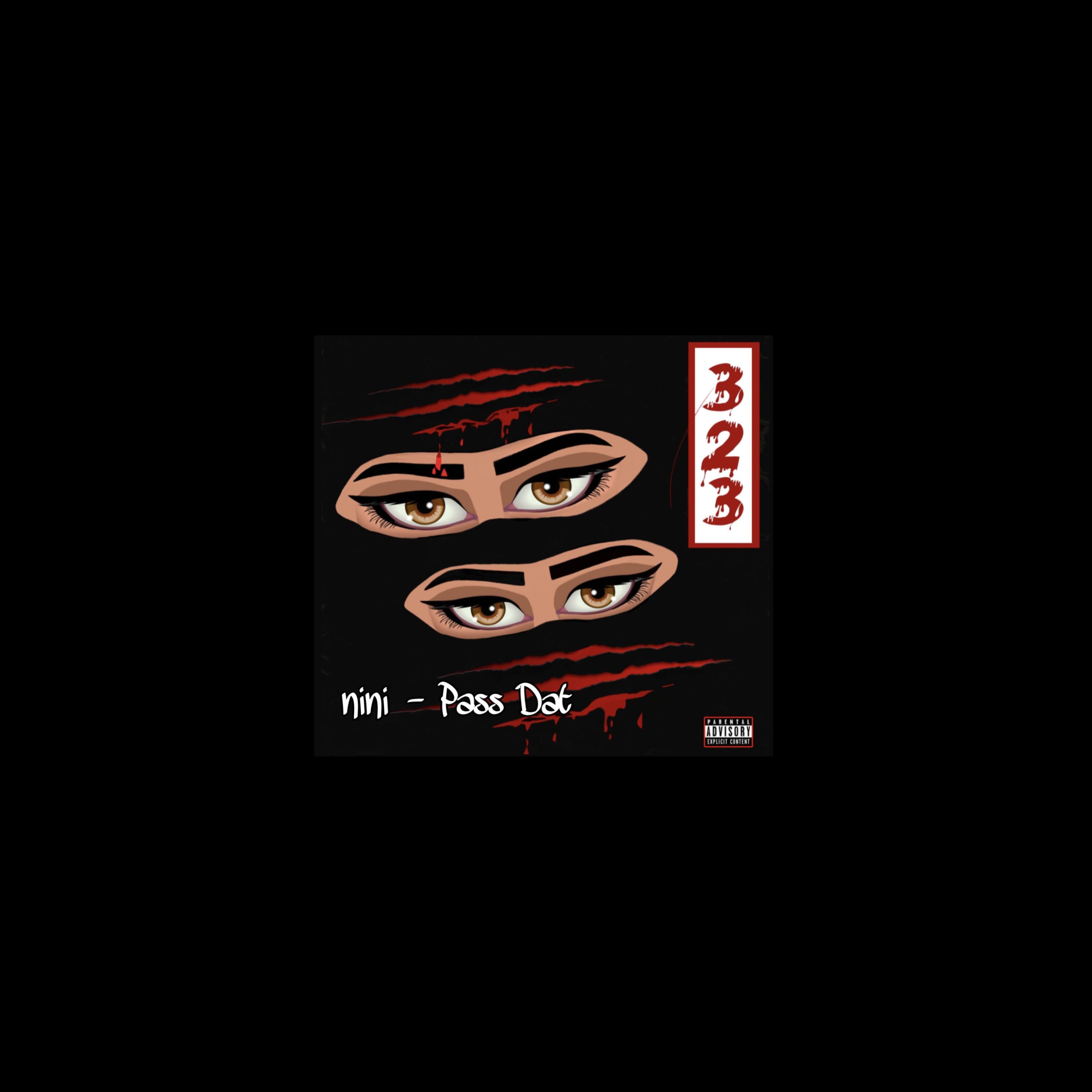 Pass Dat by nini cover art