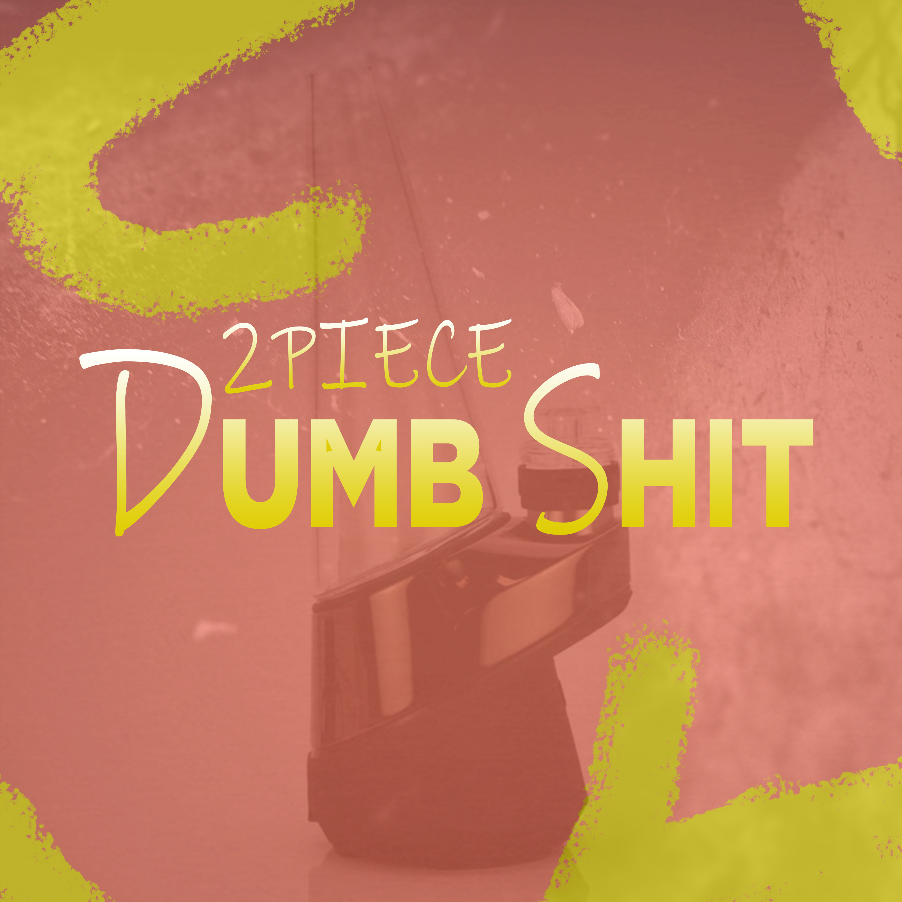 Dumb Shit artwork
