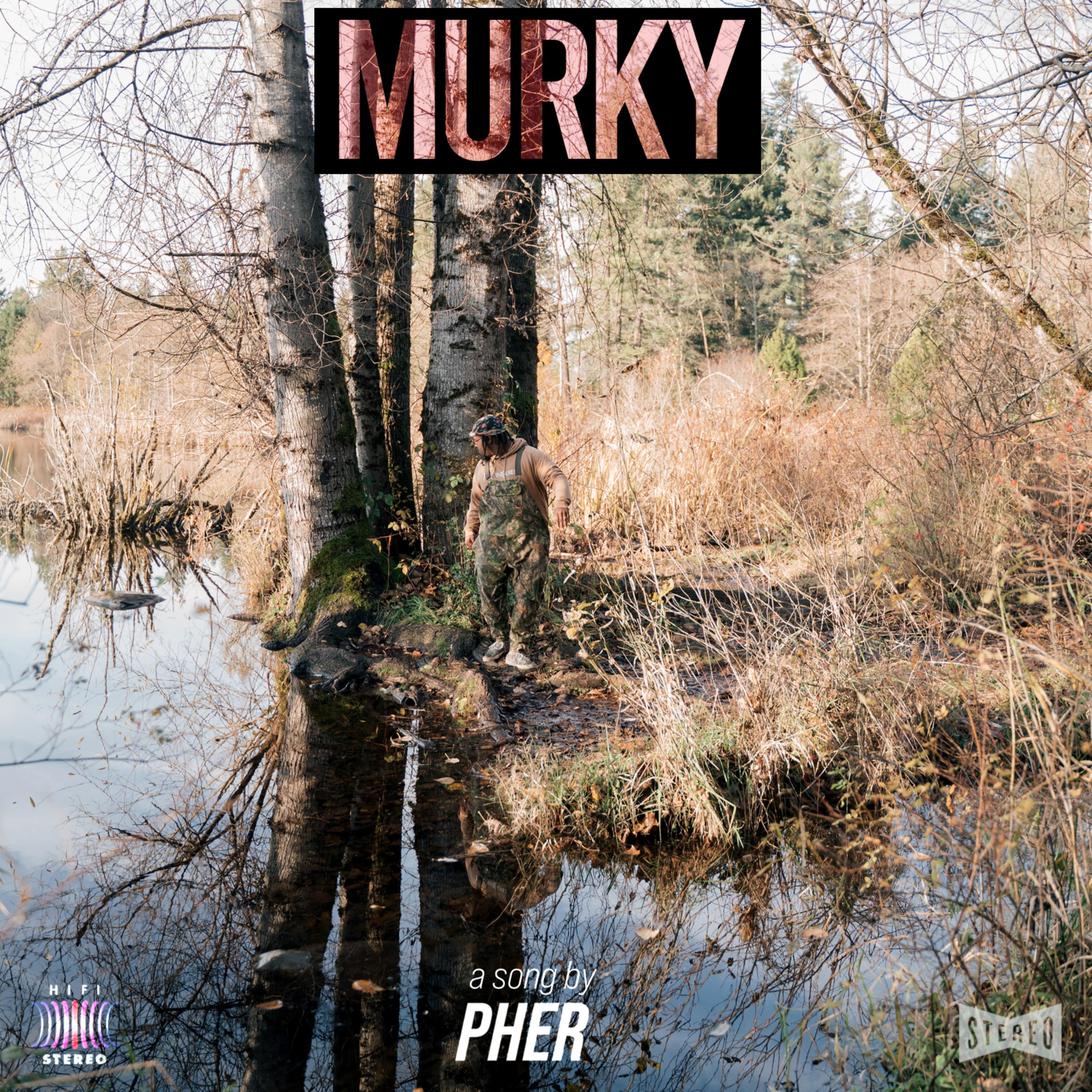 Murky (Acoustic Version) artwork