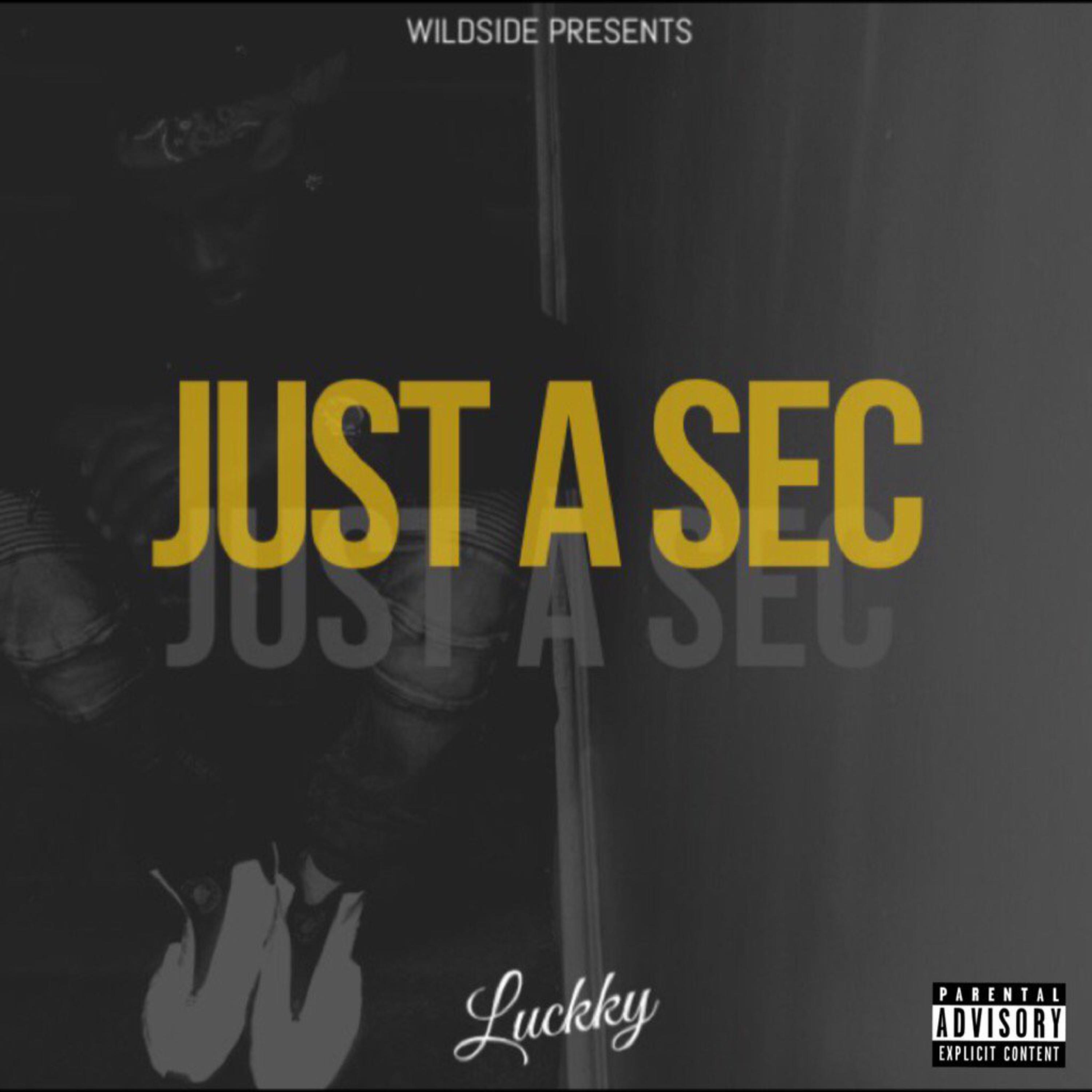 Just a sec artwork