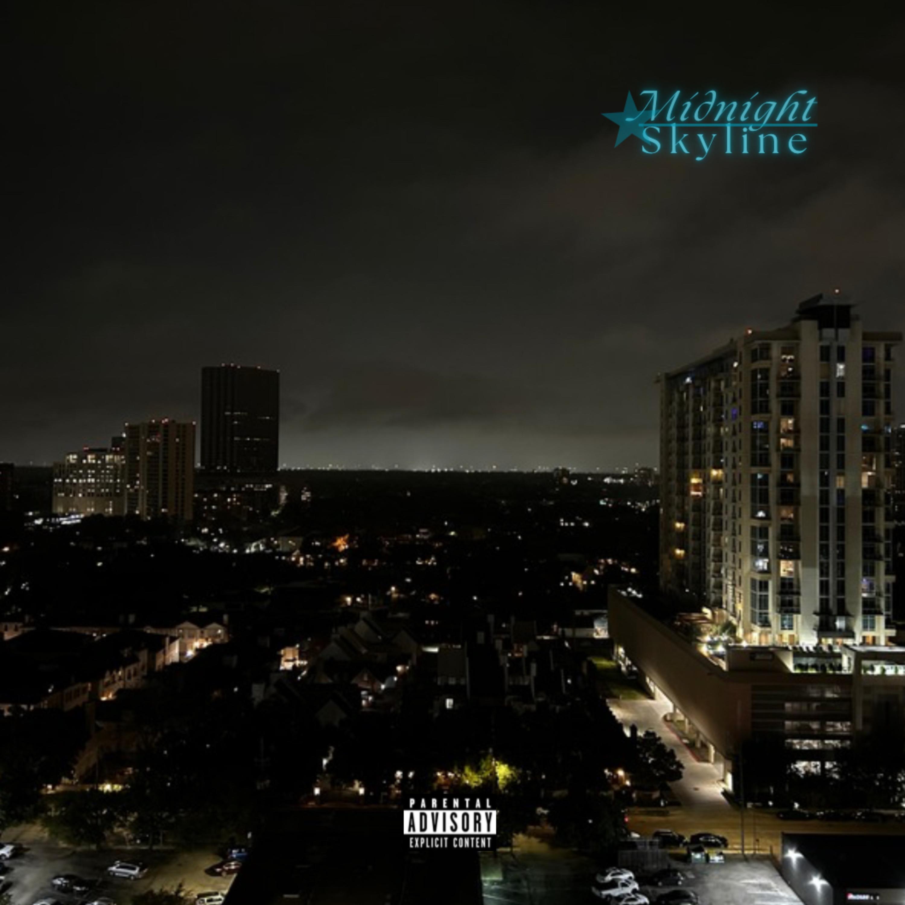 Midnight Skyline artwork