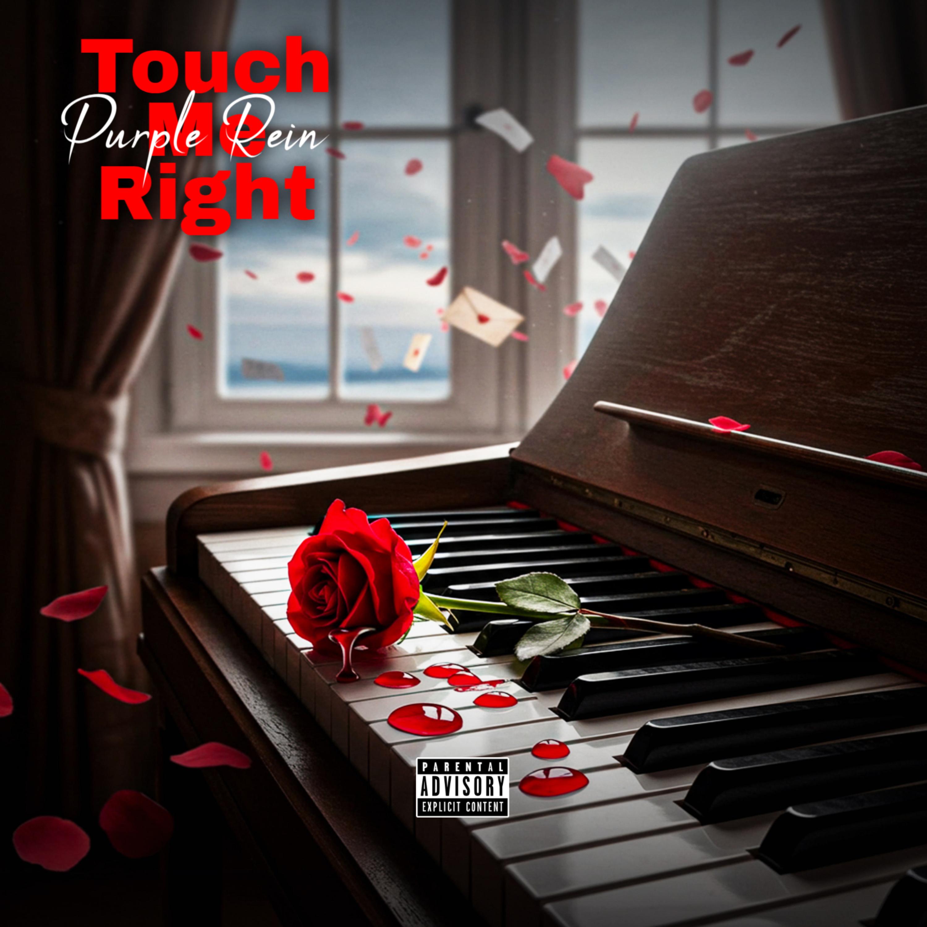 When It Gets Hard & Wet Touch Me Right artwork
