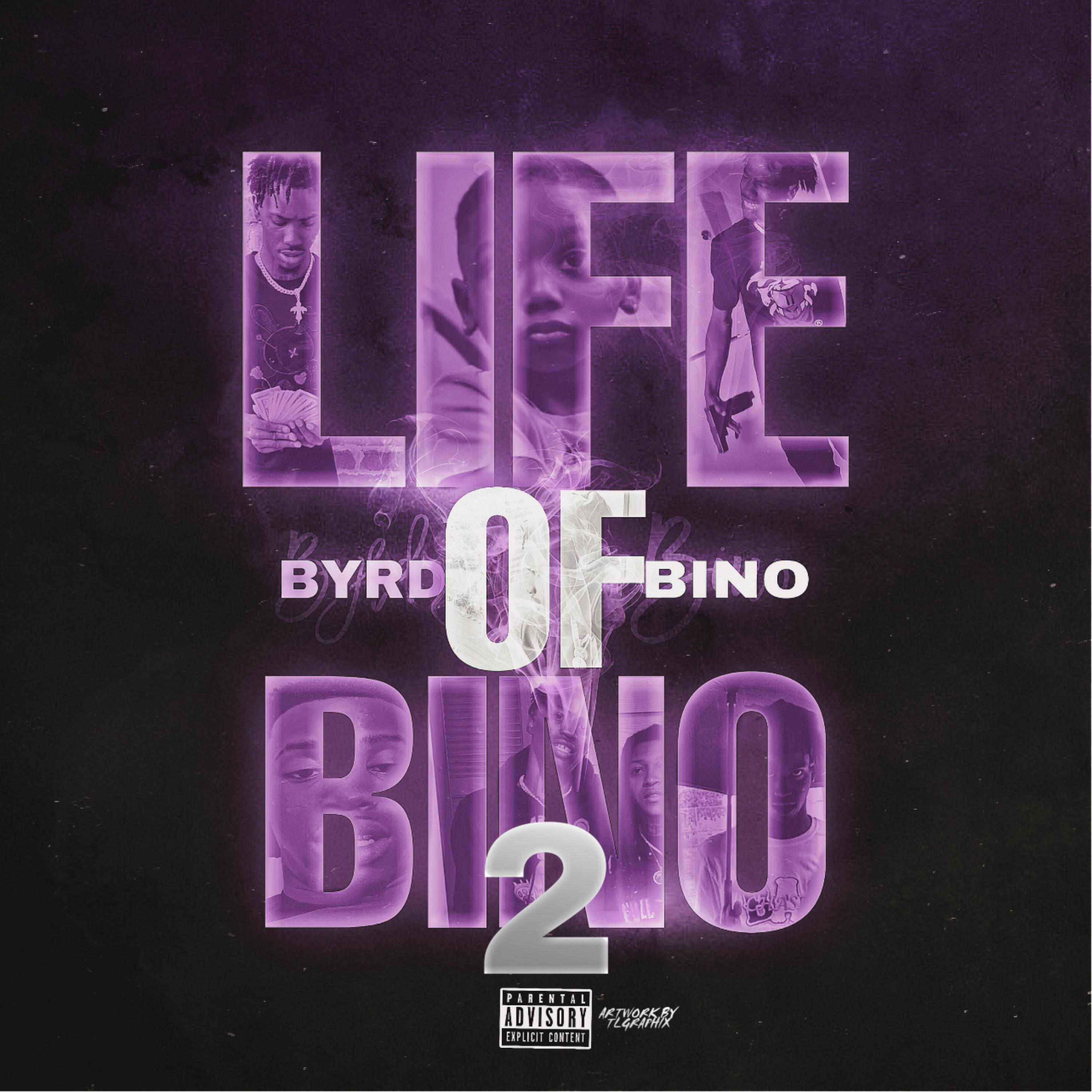 Life Of Bino 2 artwork