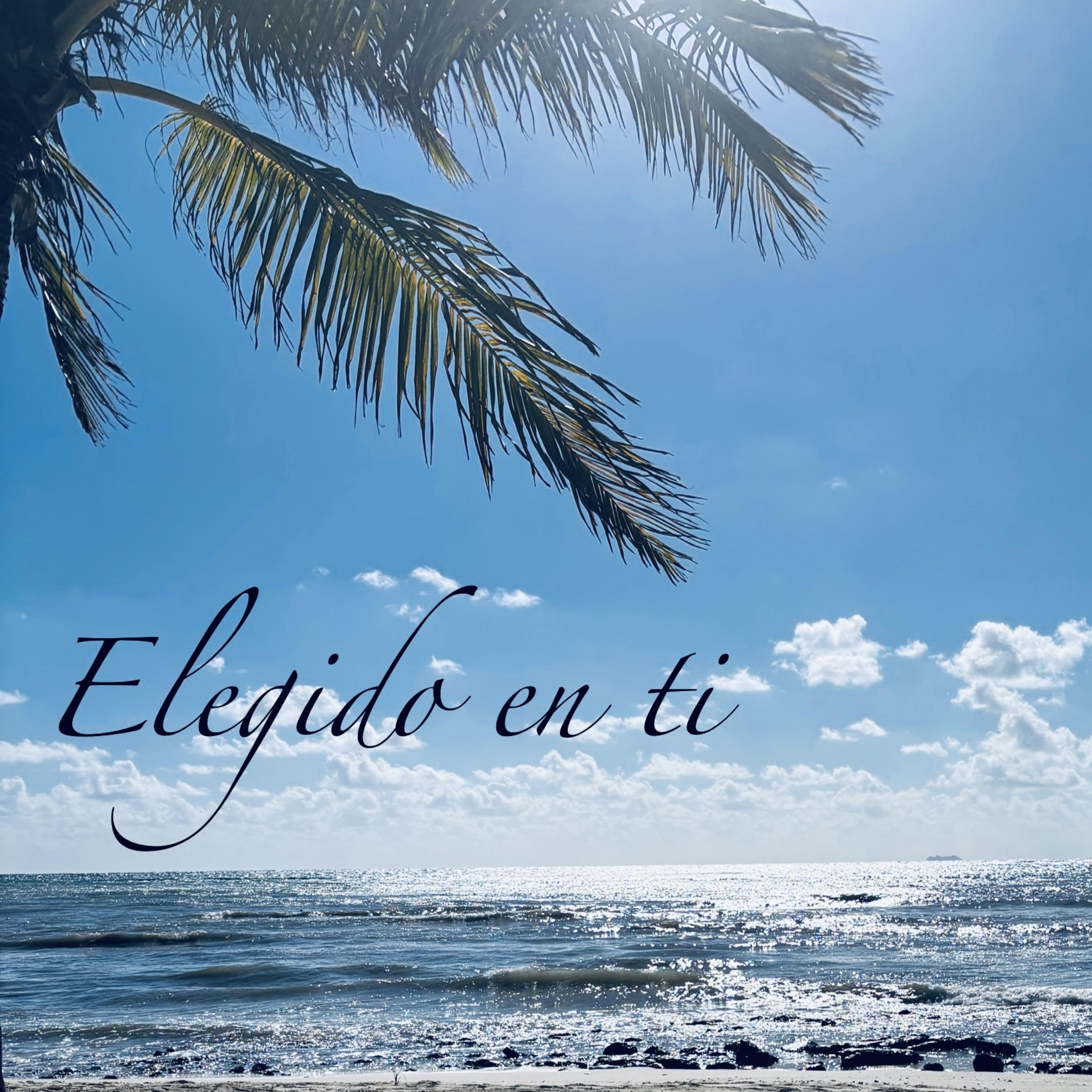 Elegido en Ti artwork