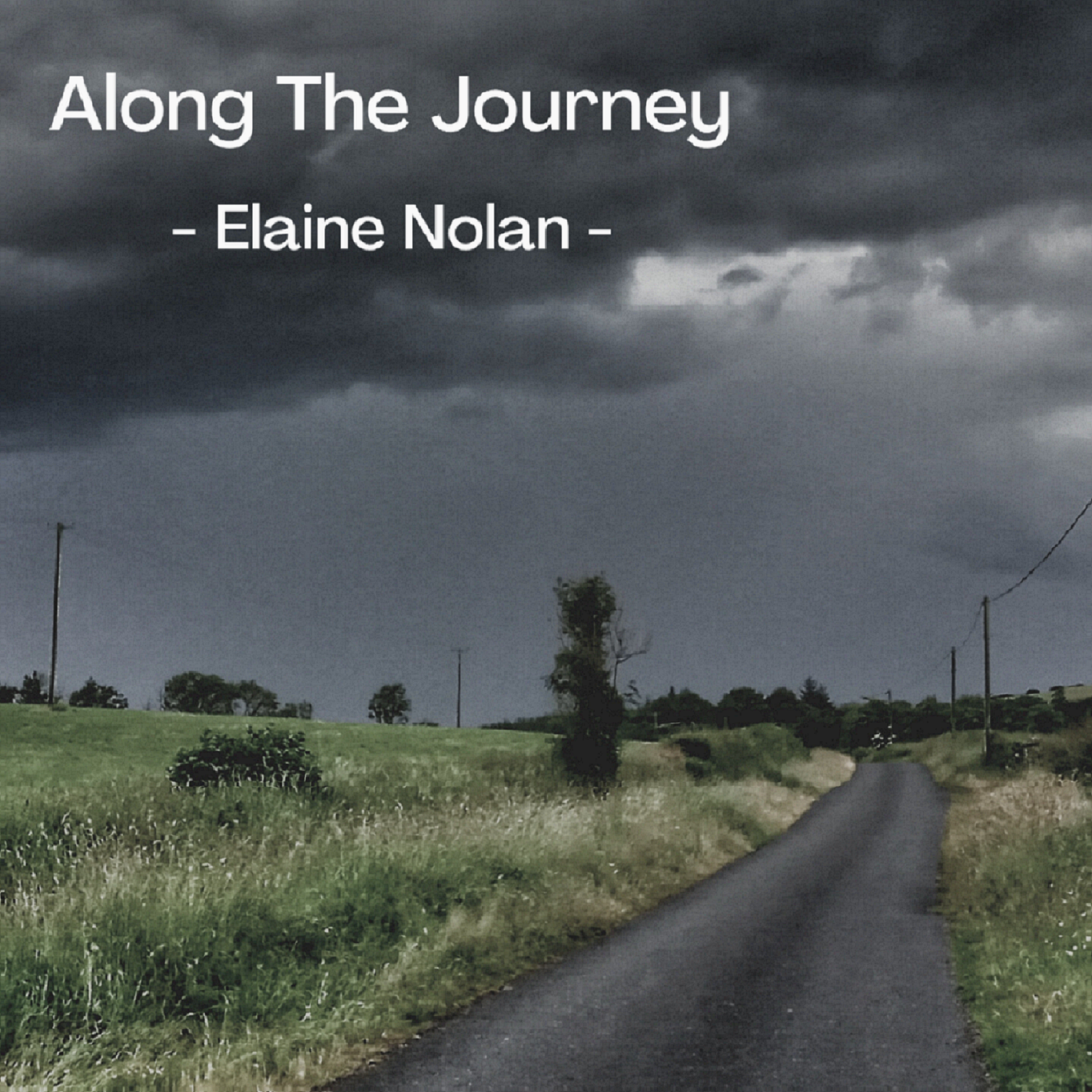 Along The Journey artwork