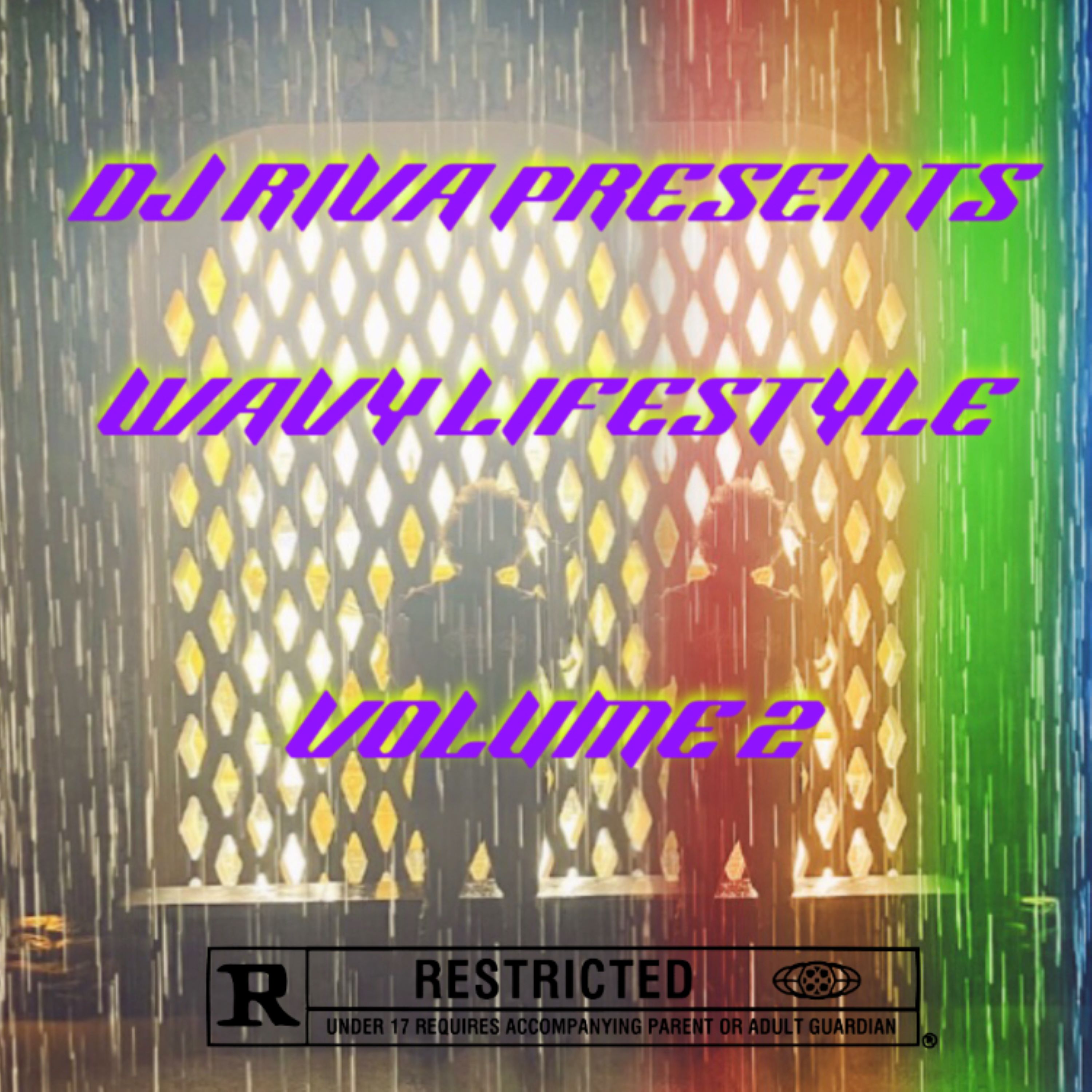 WAVY LIFESTYLE VOLUME 2 artwork