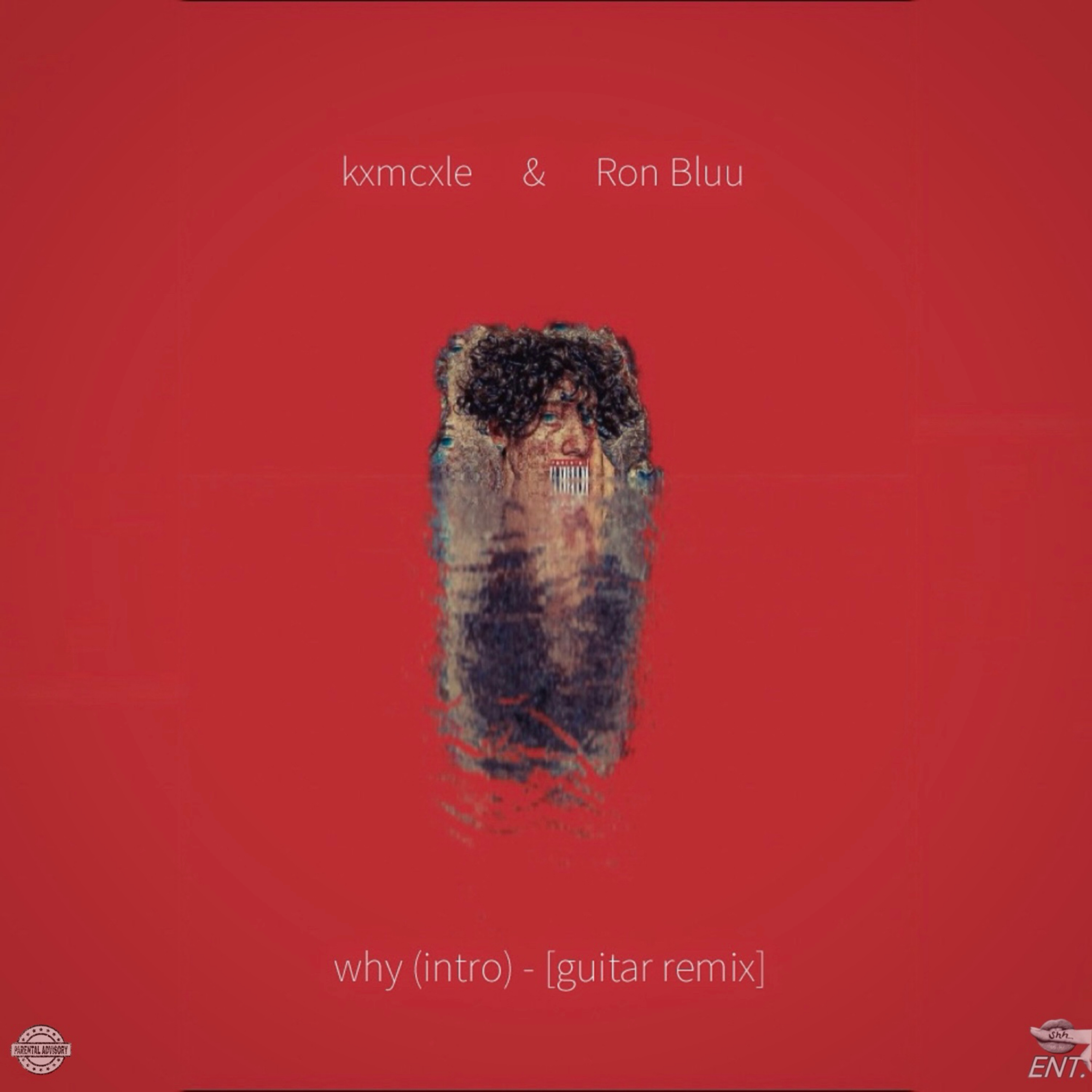 why (intro) [Guitair Version] artwork