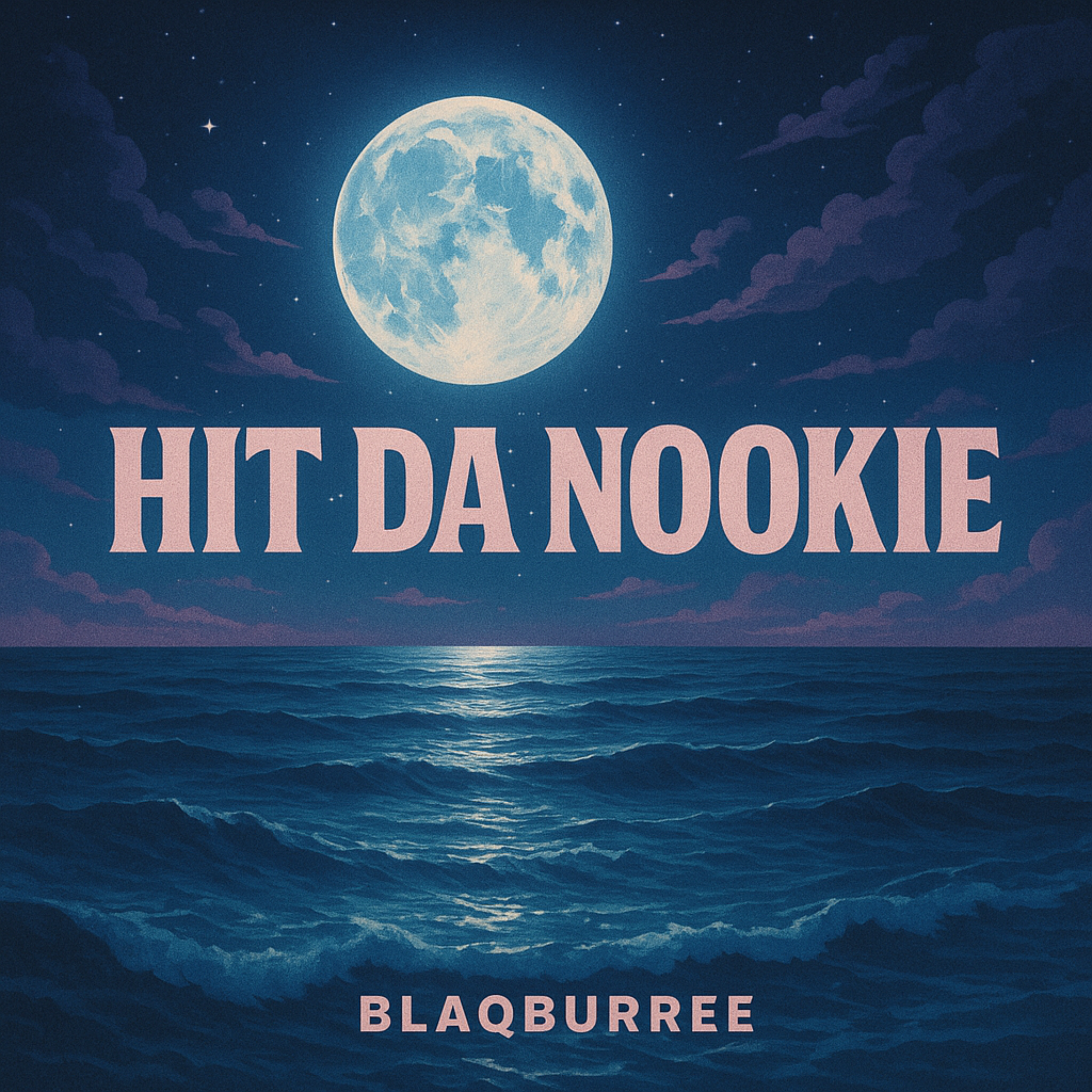 Hit Da Nookie artwork
