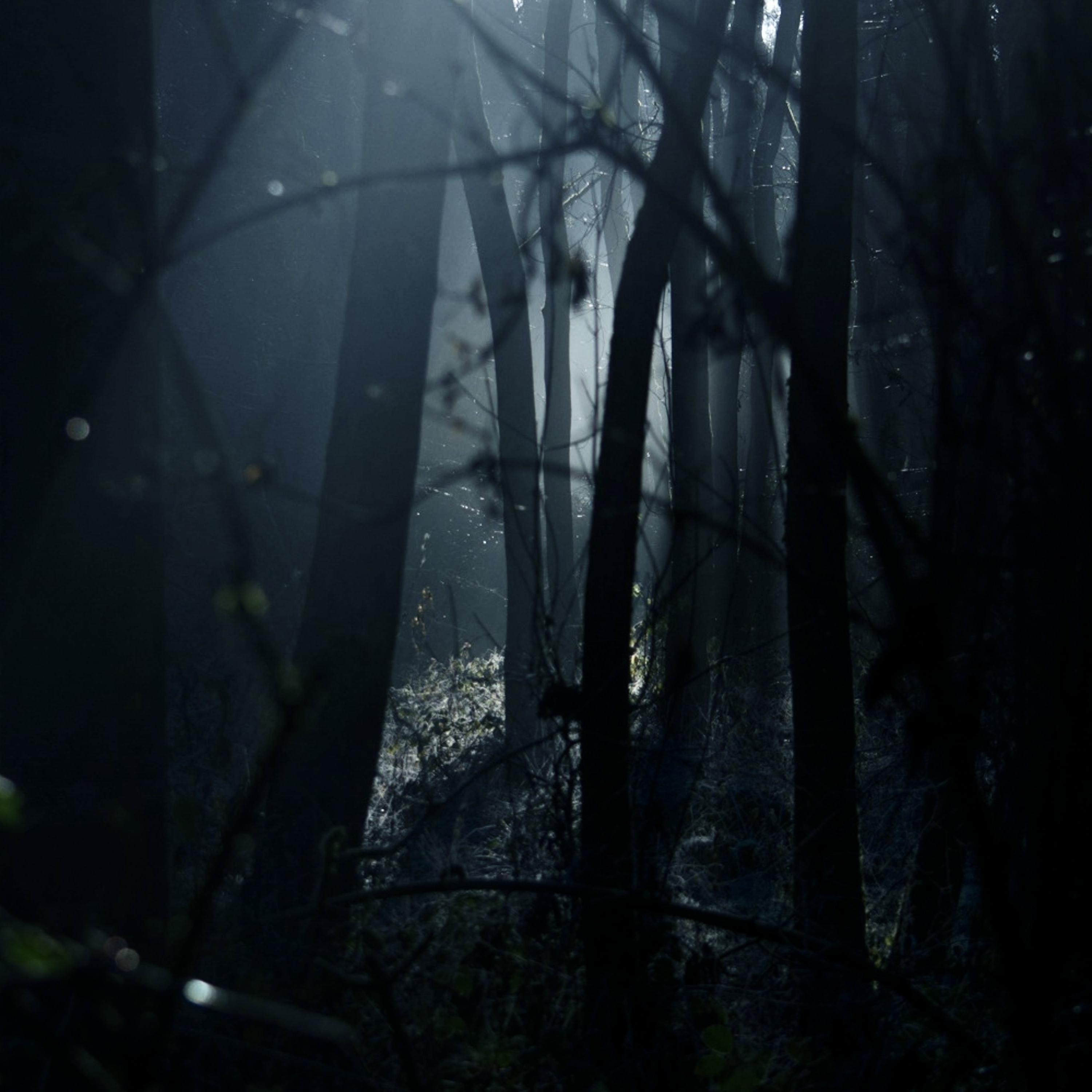 Darkness artwork