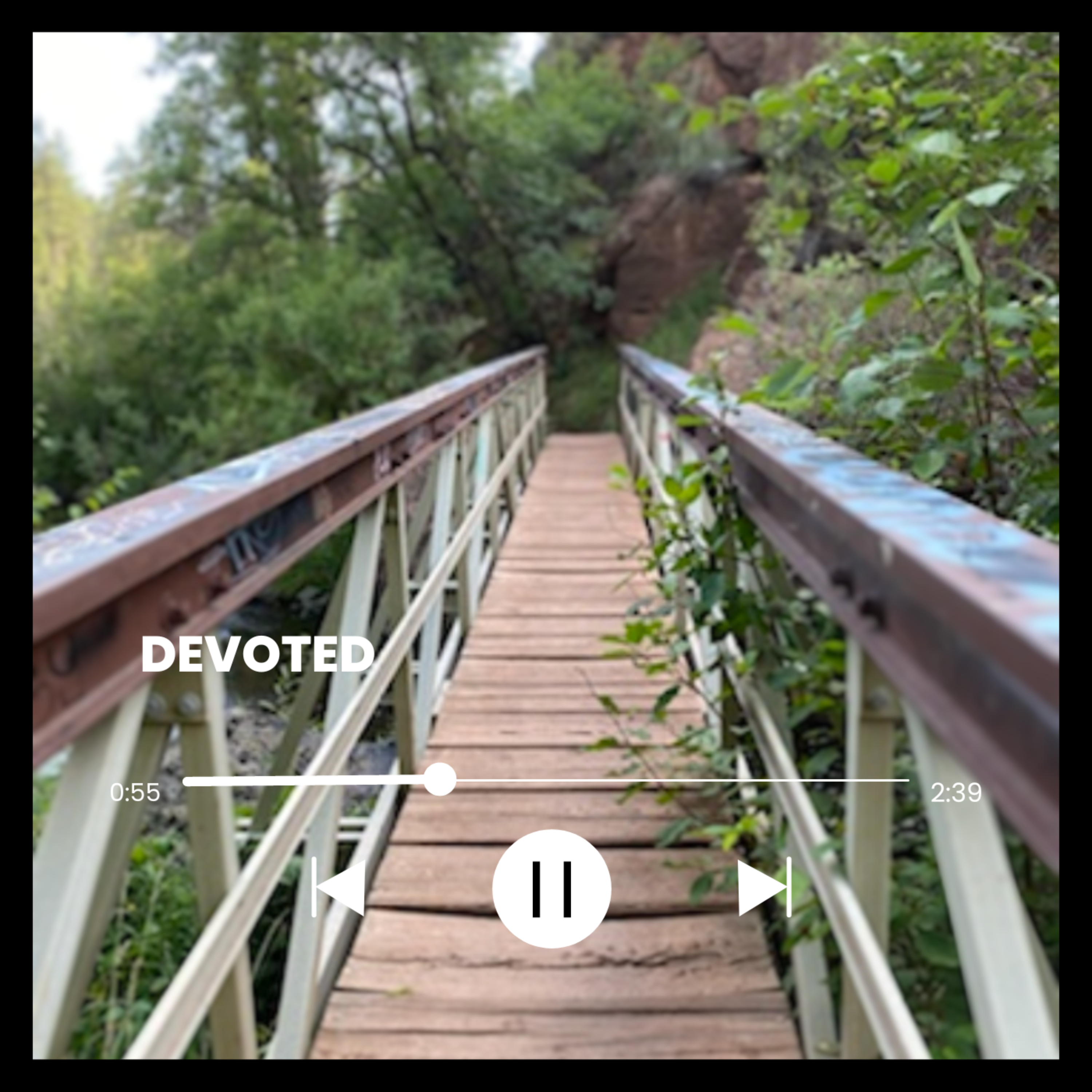 DEVOTED artwork