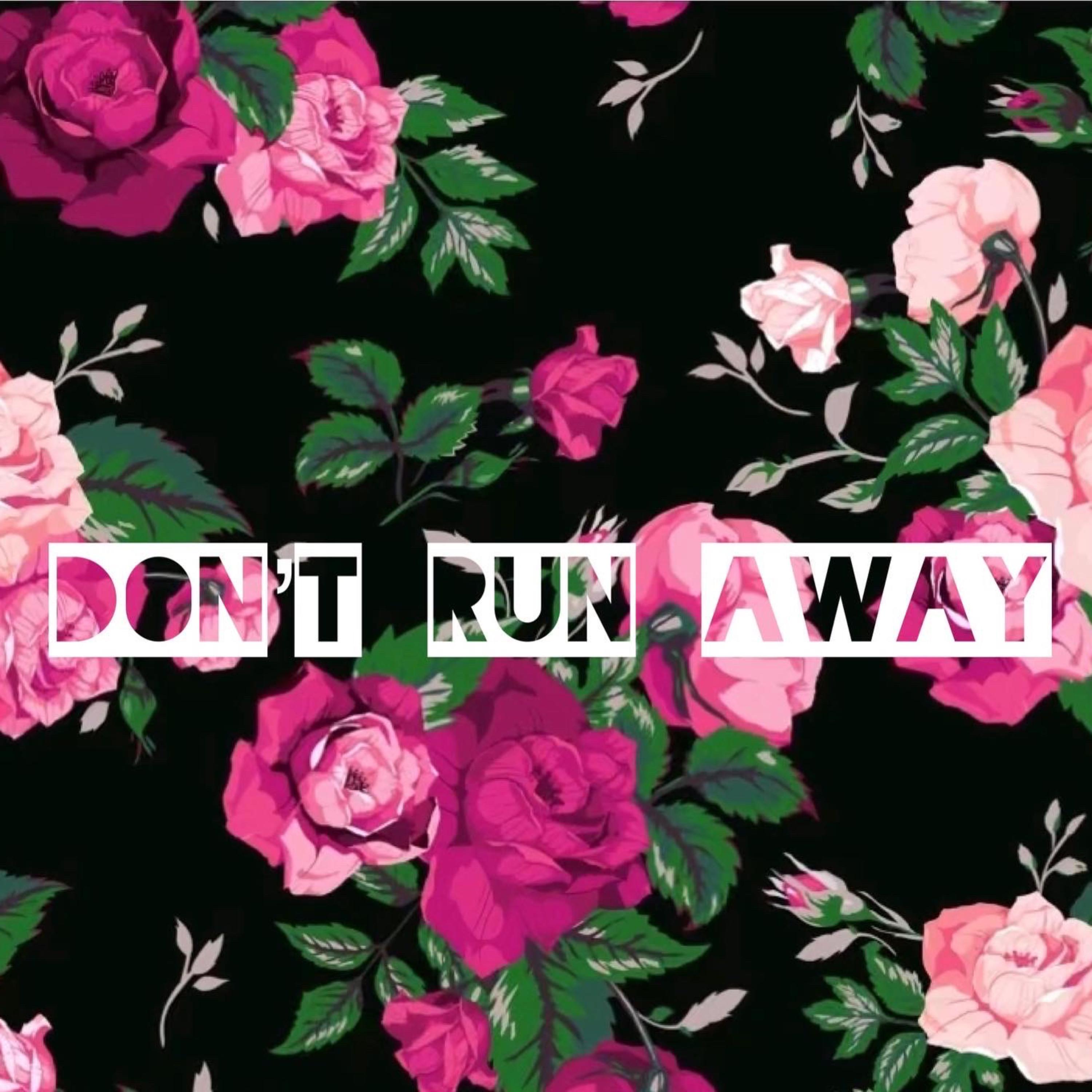 Dont Run Away artwork