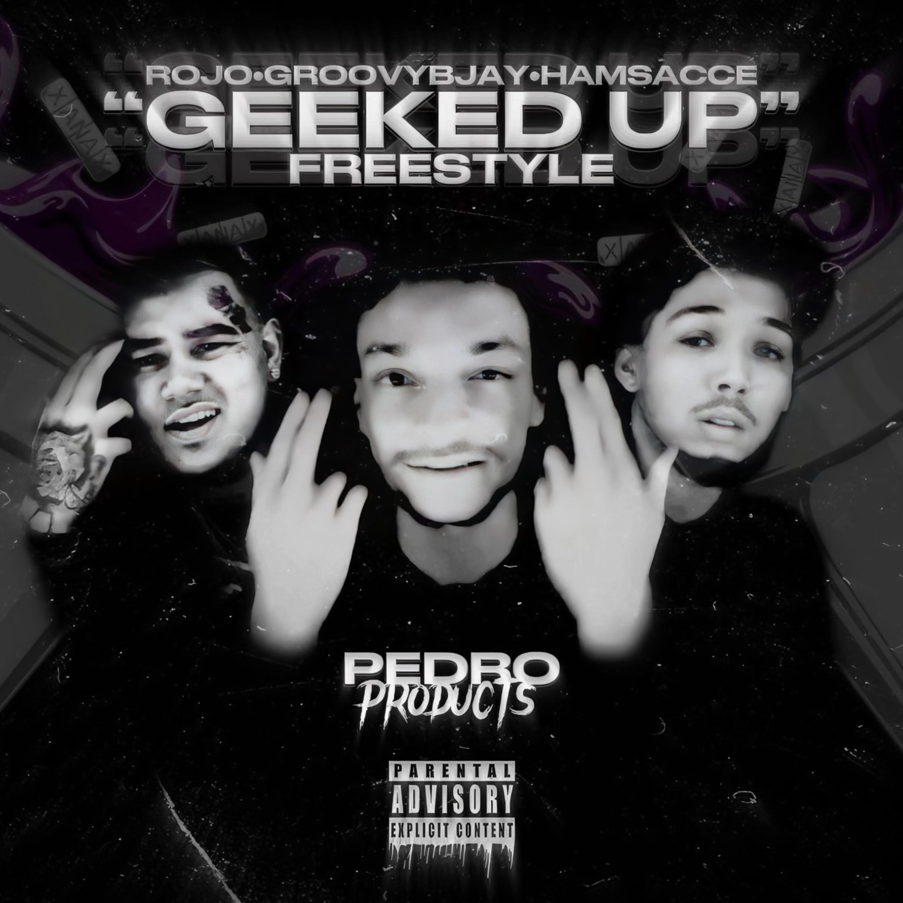 GEEKED UP FREESTYLE artwork