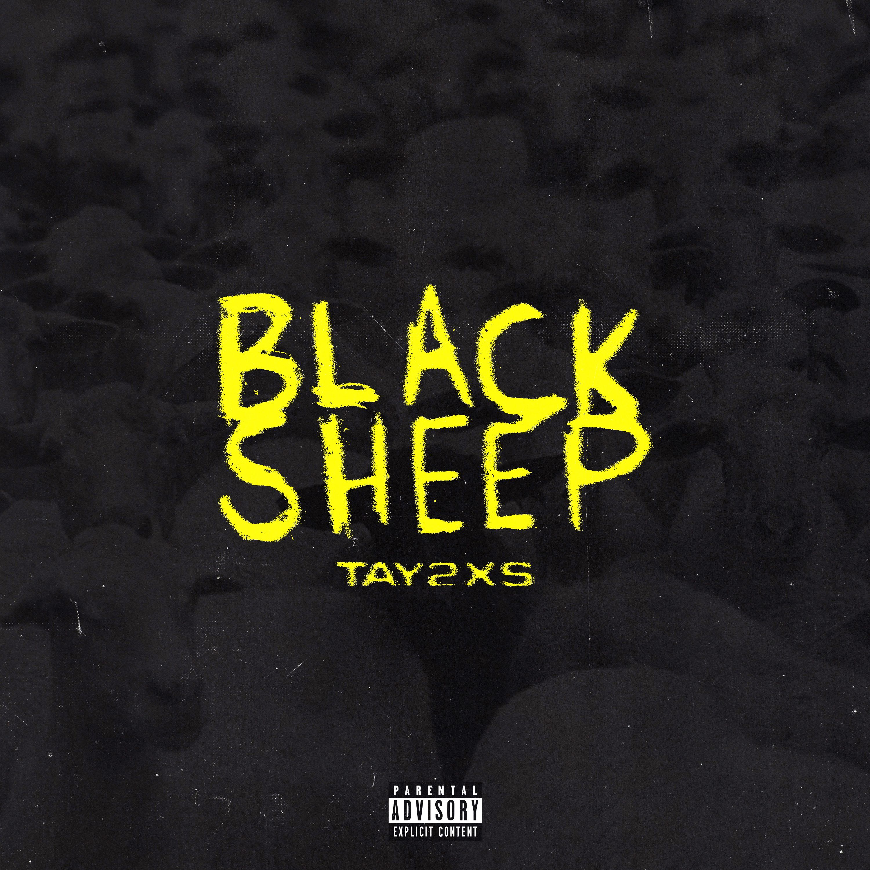 Black Sheep artwork