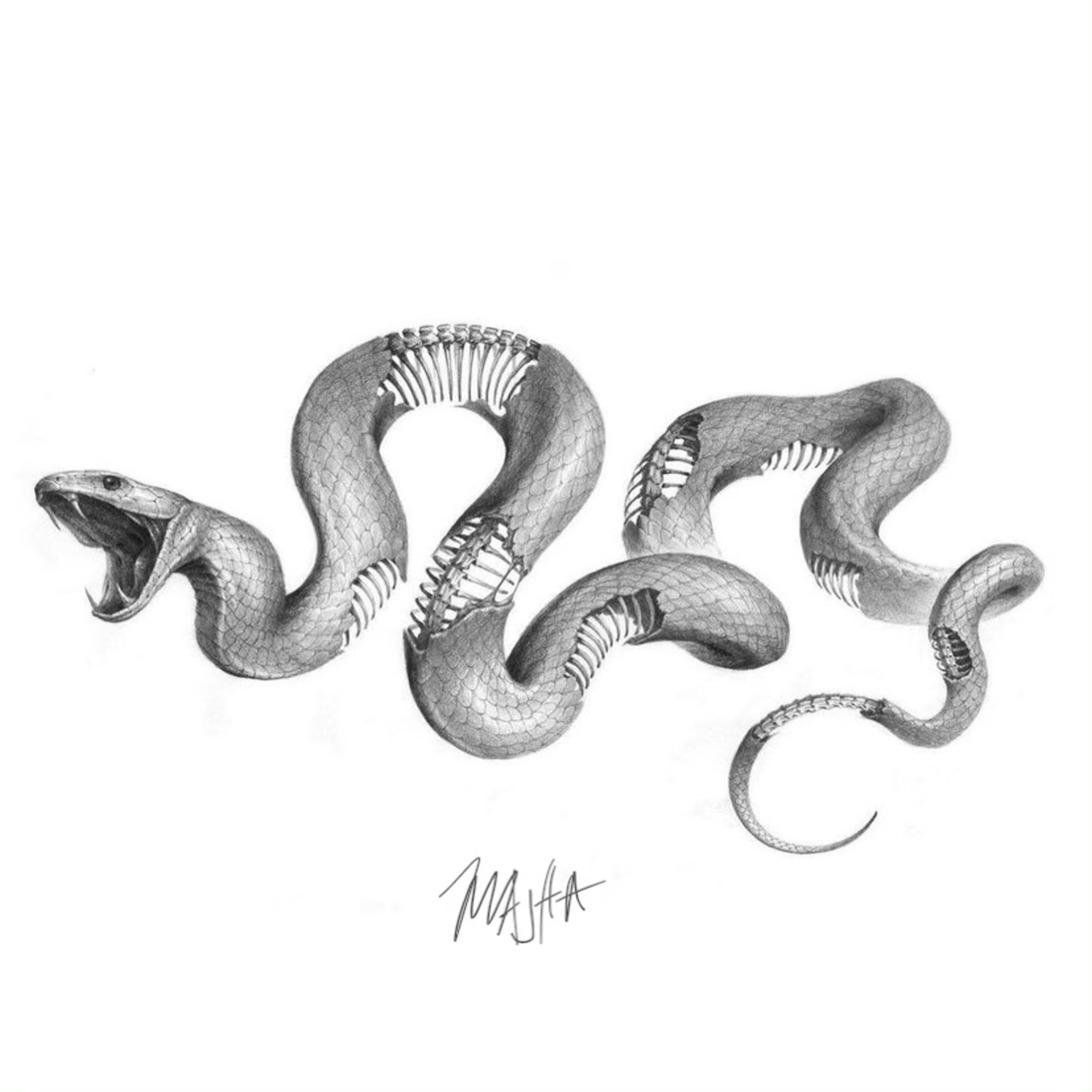 Slimey Okay artwork