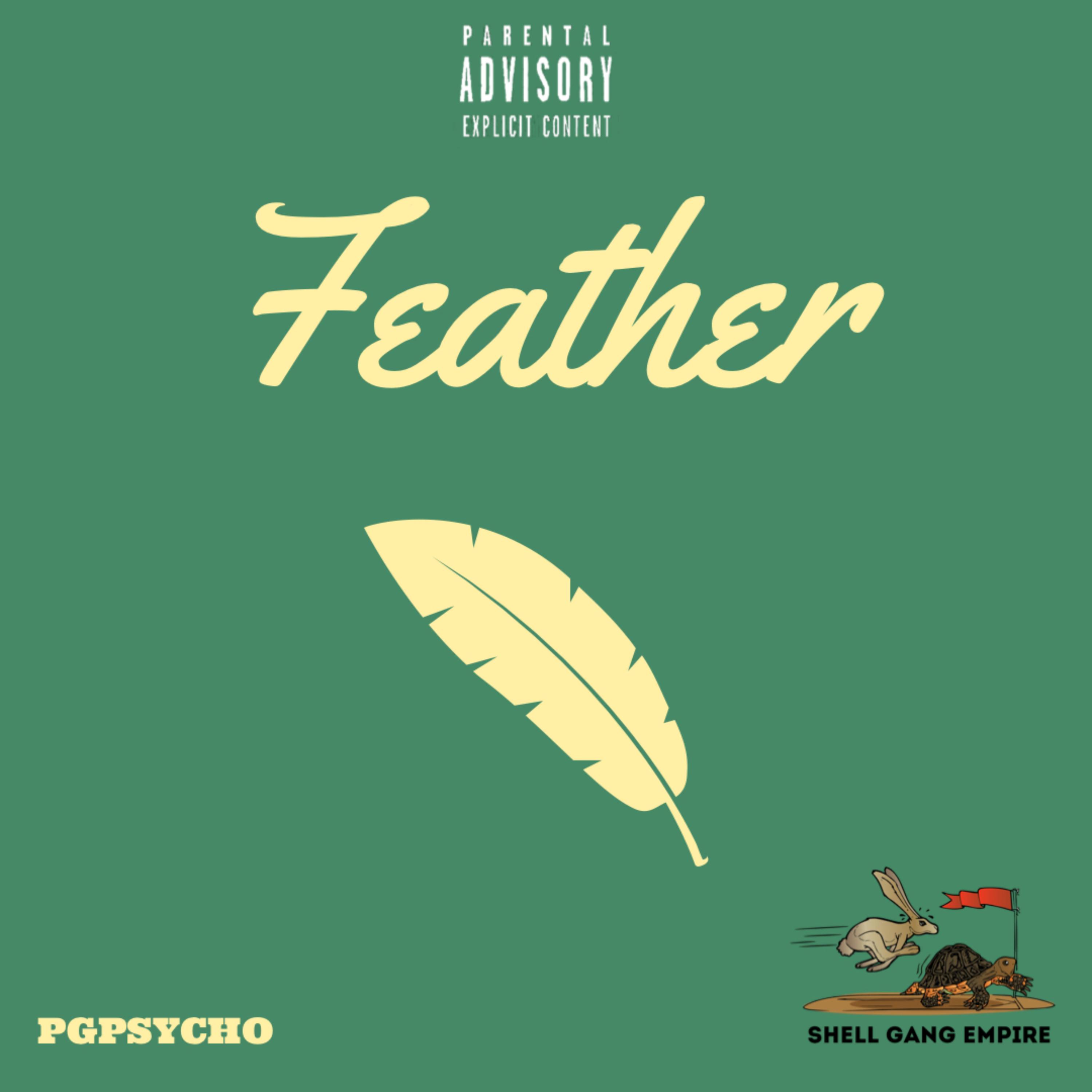 Feather artwork
