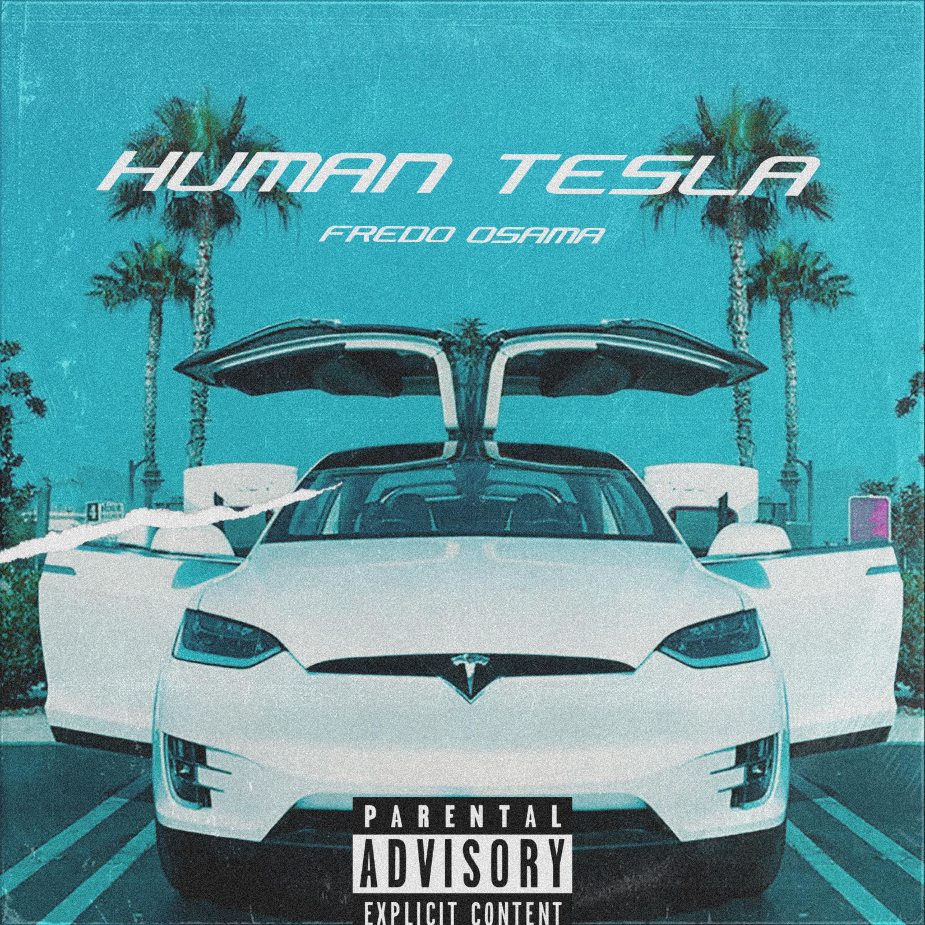 Human Tesla artwork