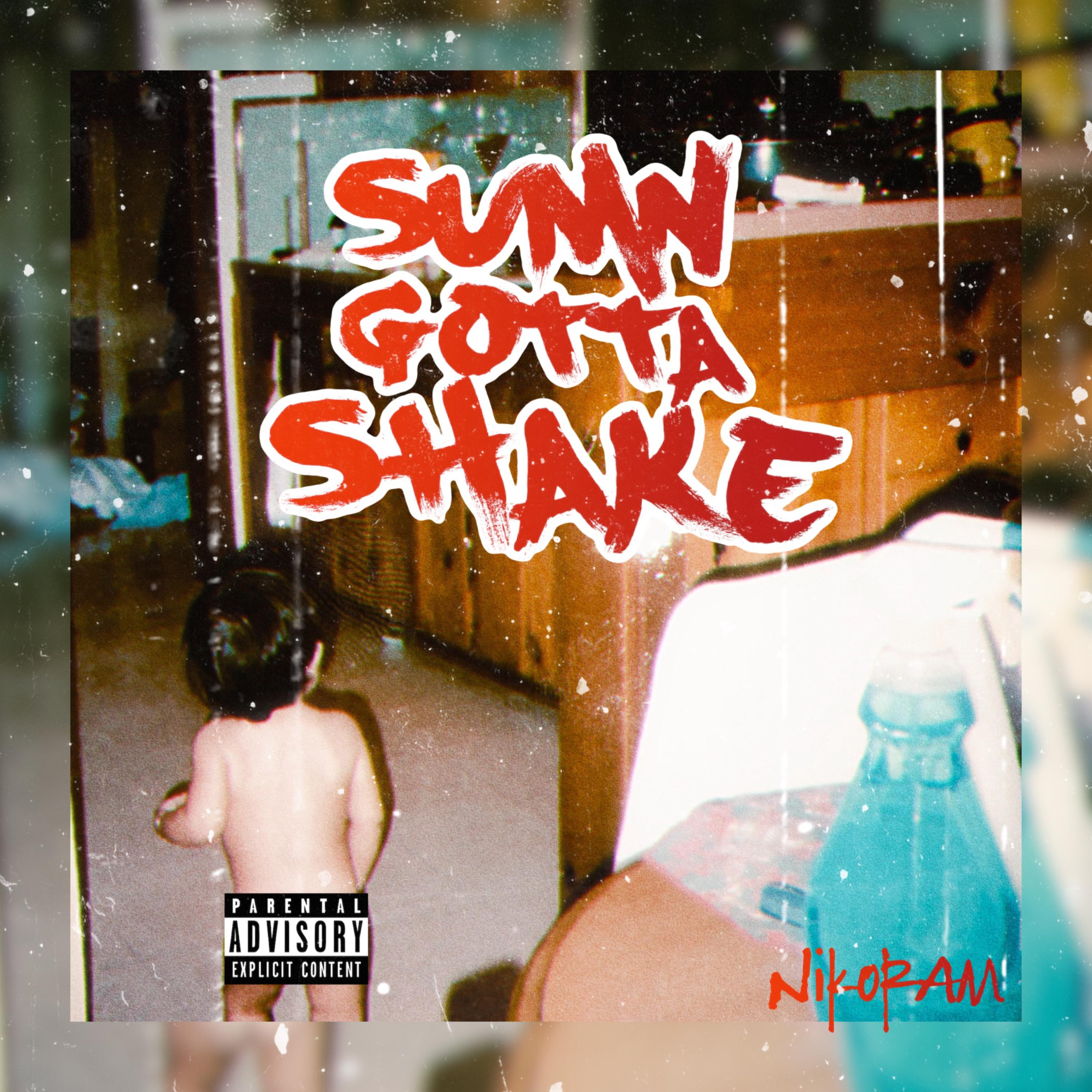 Sumn Gotta Shake by NikoRAM cover art