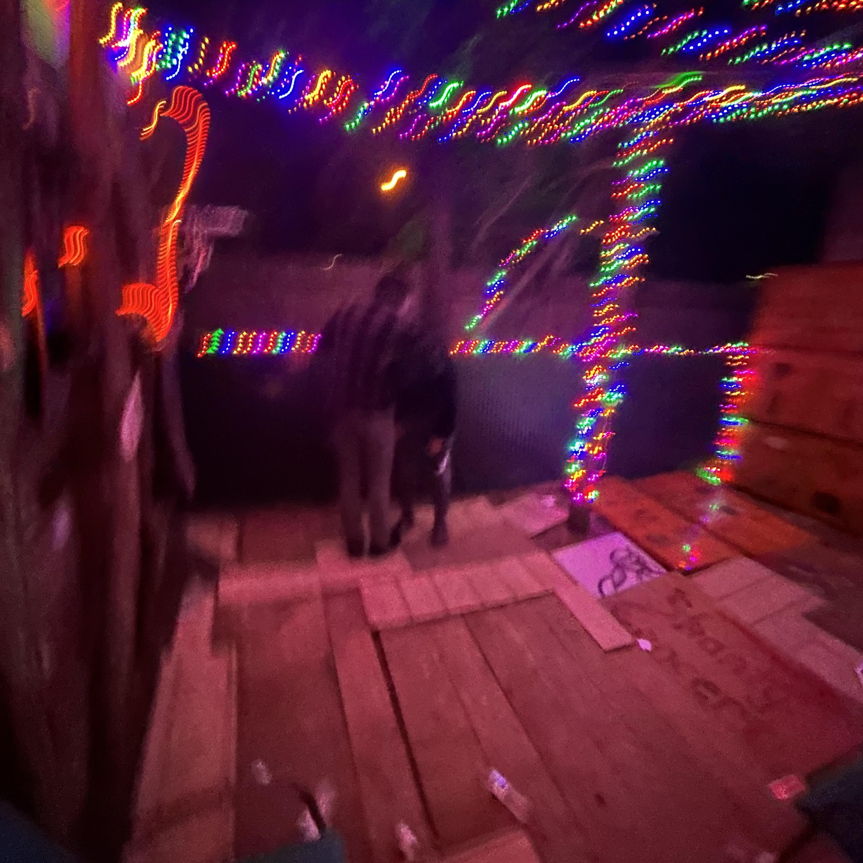 Shanty Shack Sessions I artwork