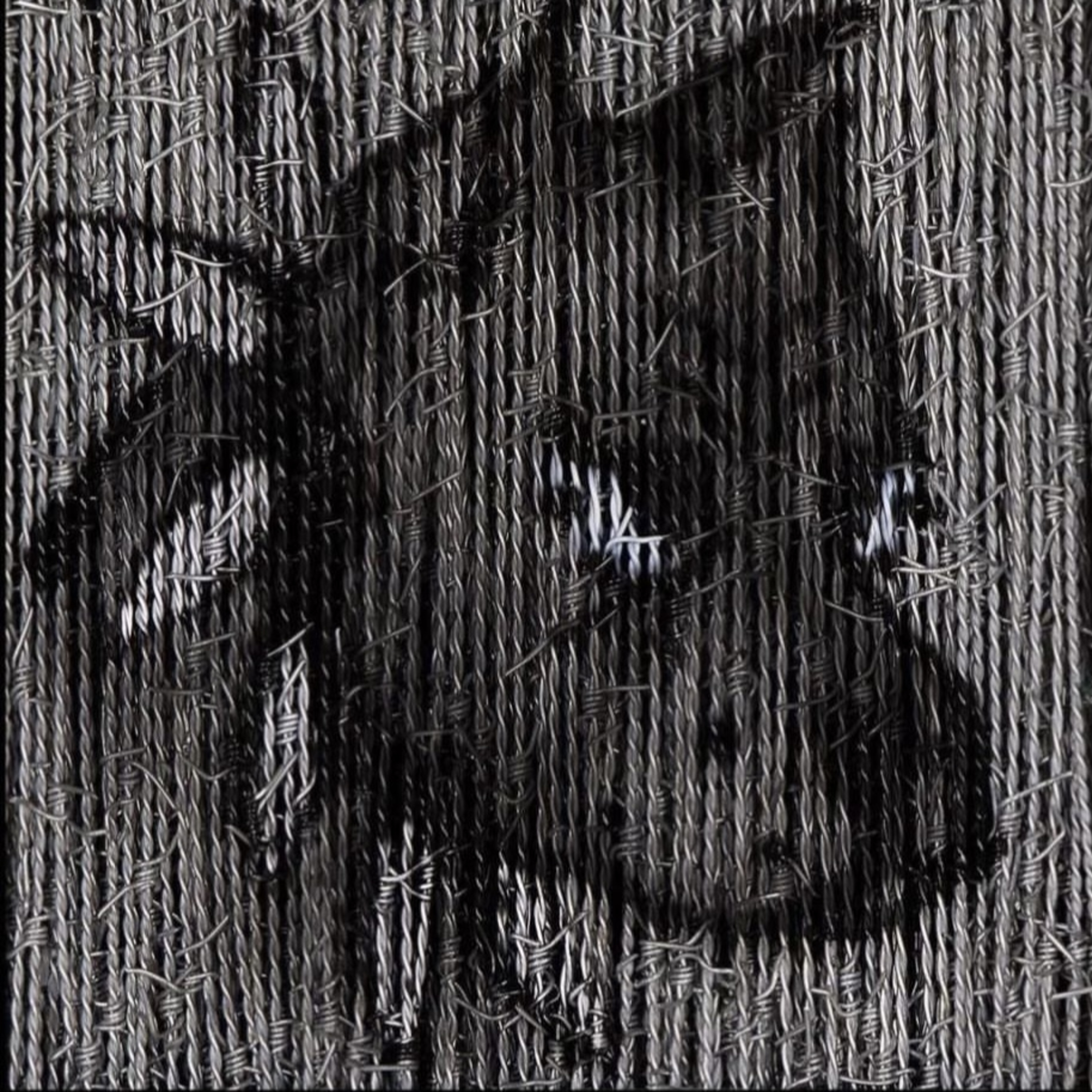 ##p2 by Twealvy cover art