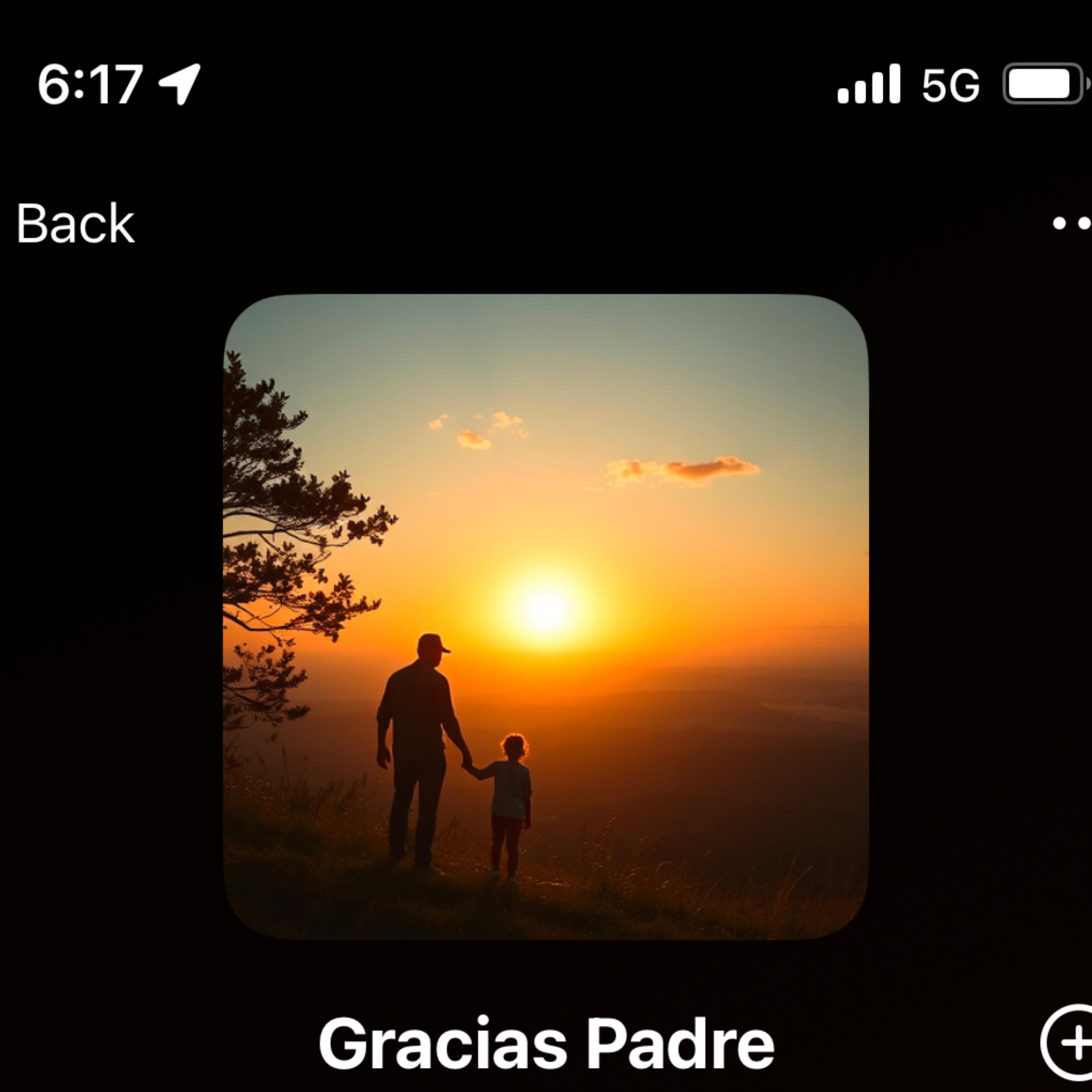 Gracias Padre artwork