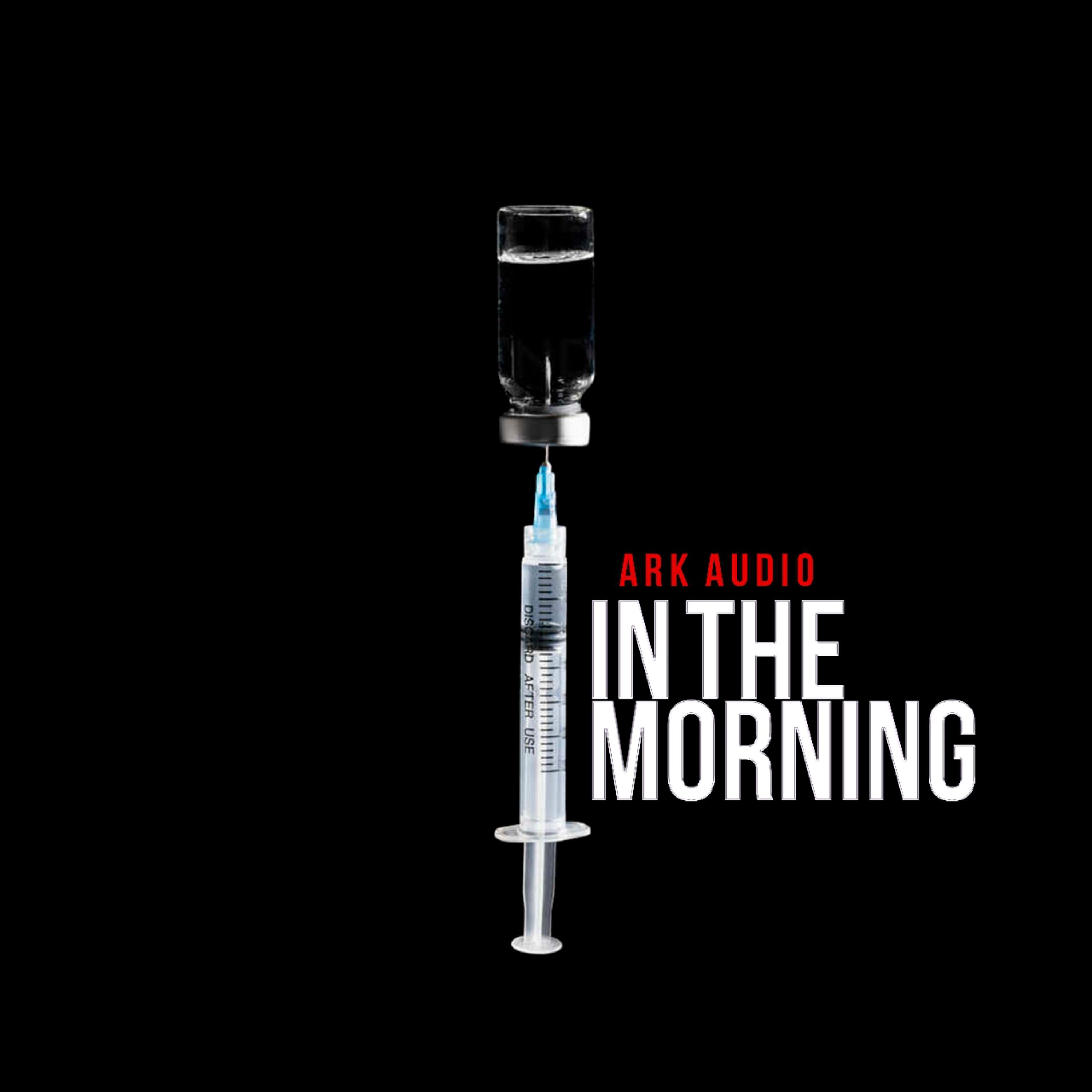 In The Morning artwork