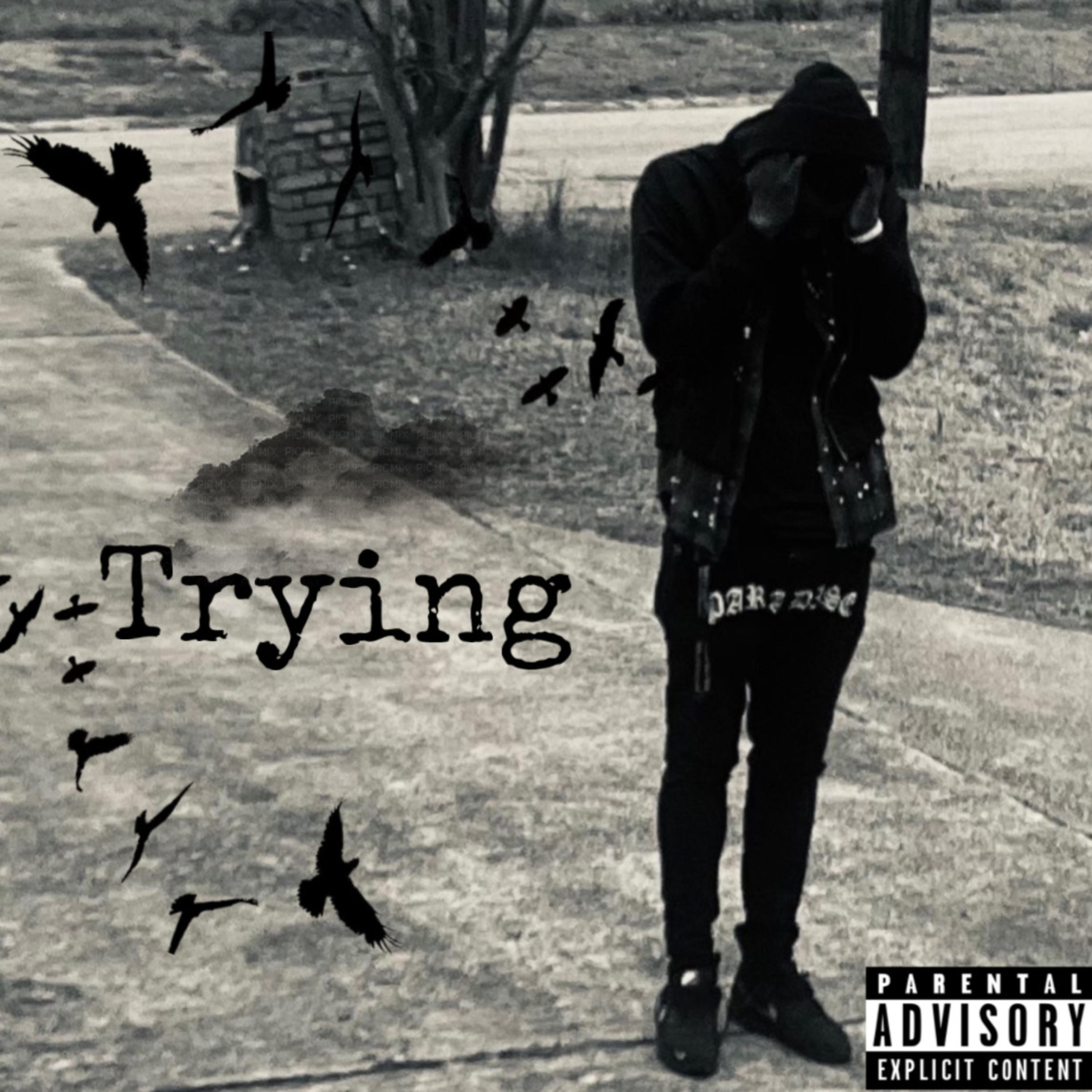 Trying artwork