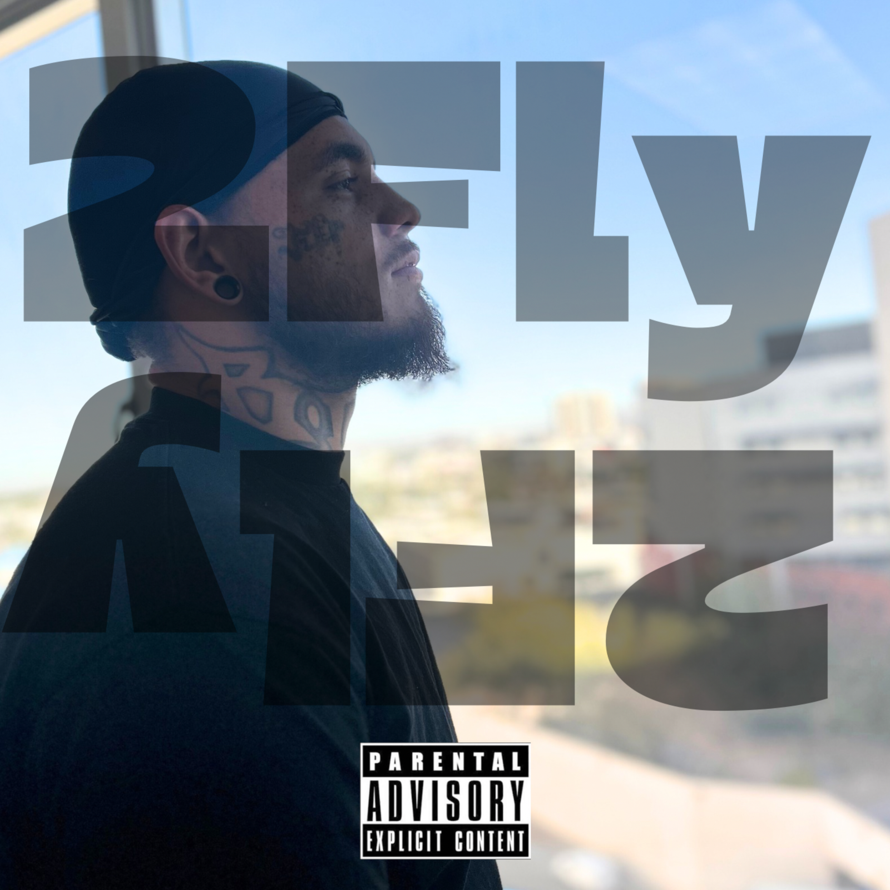2Fly artwork
