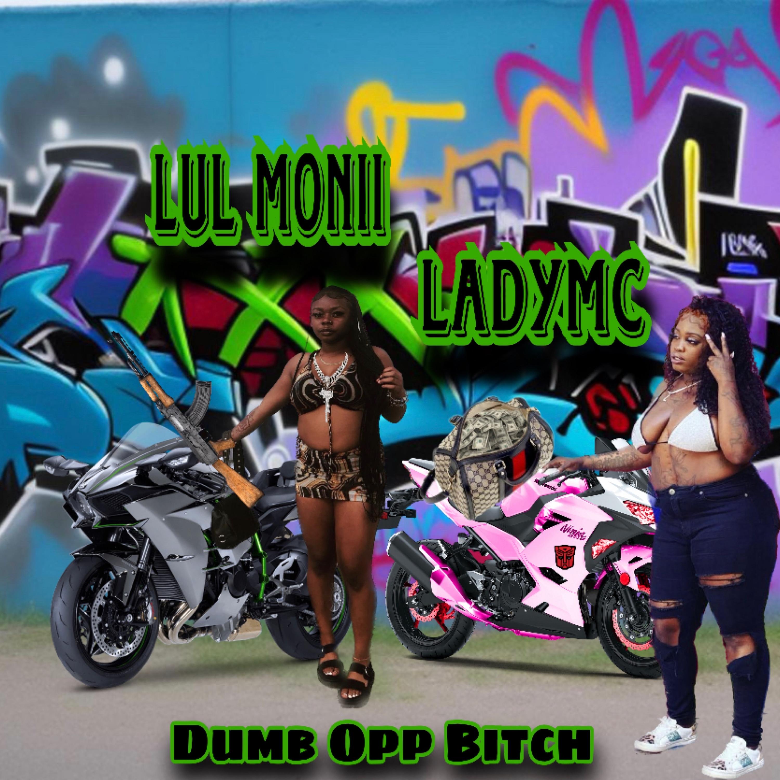 Dumb Opp Bitch artwork