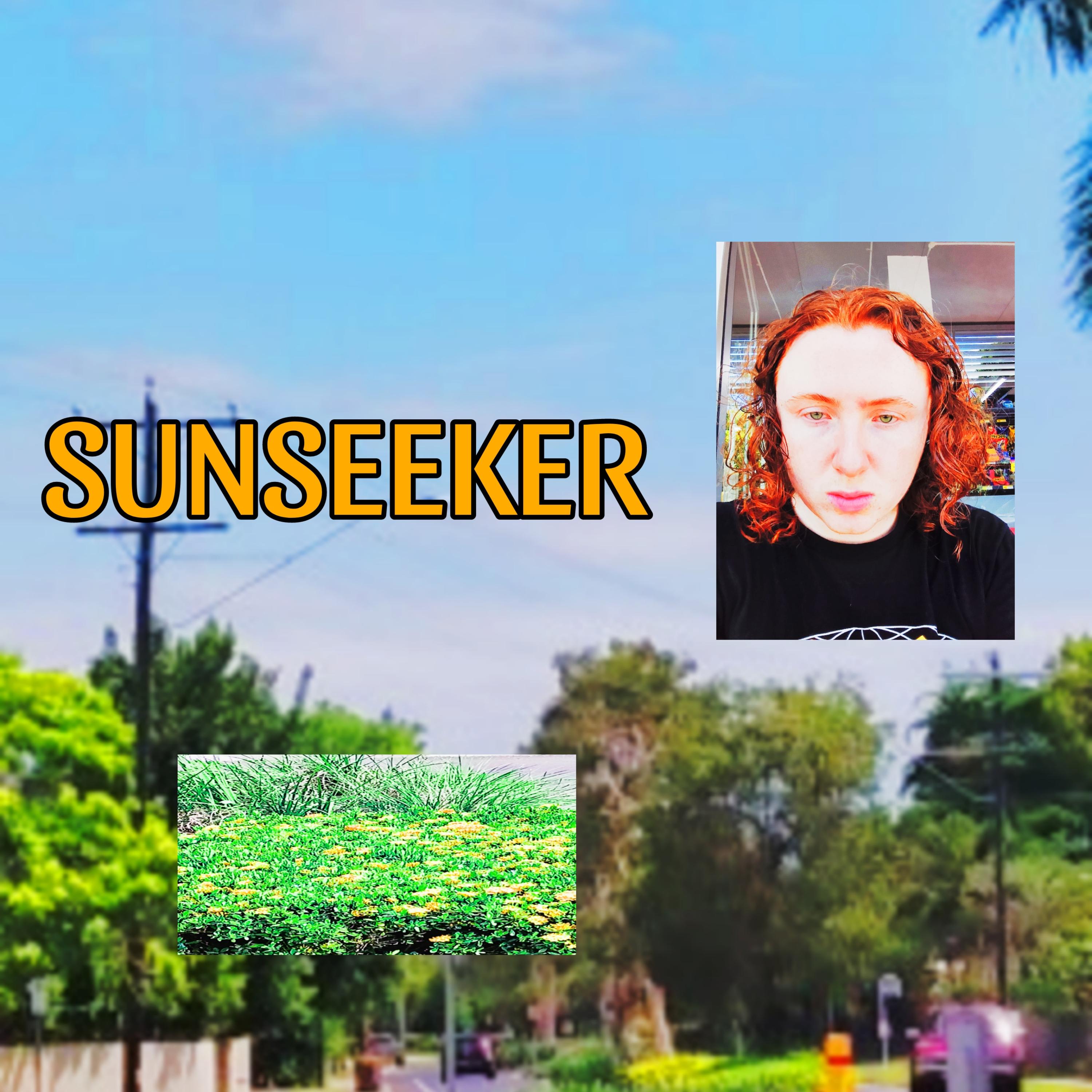 SUNSEEKER artwork
