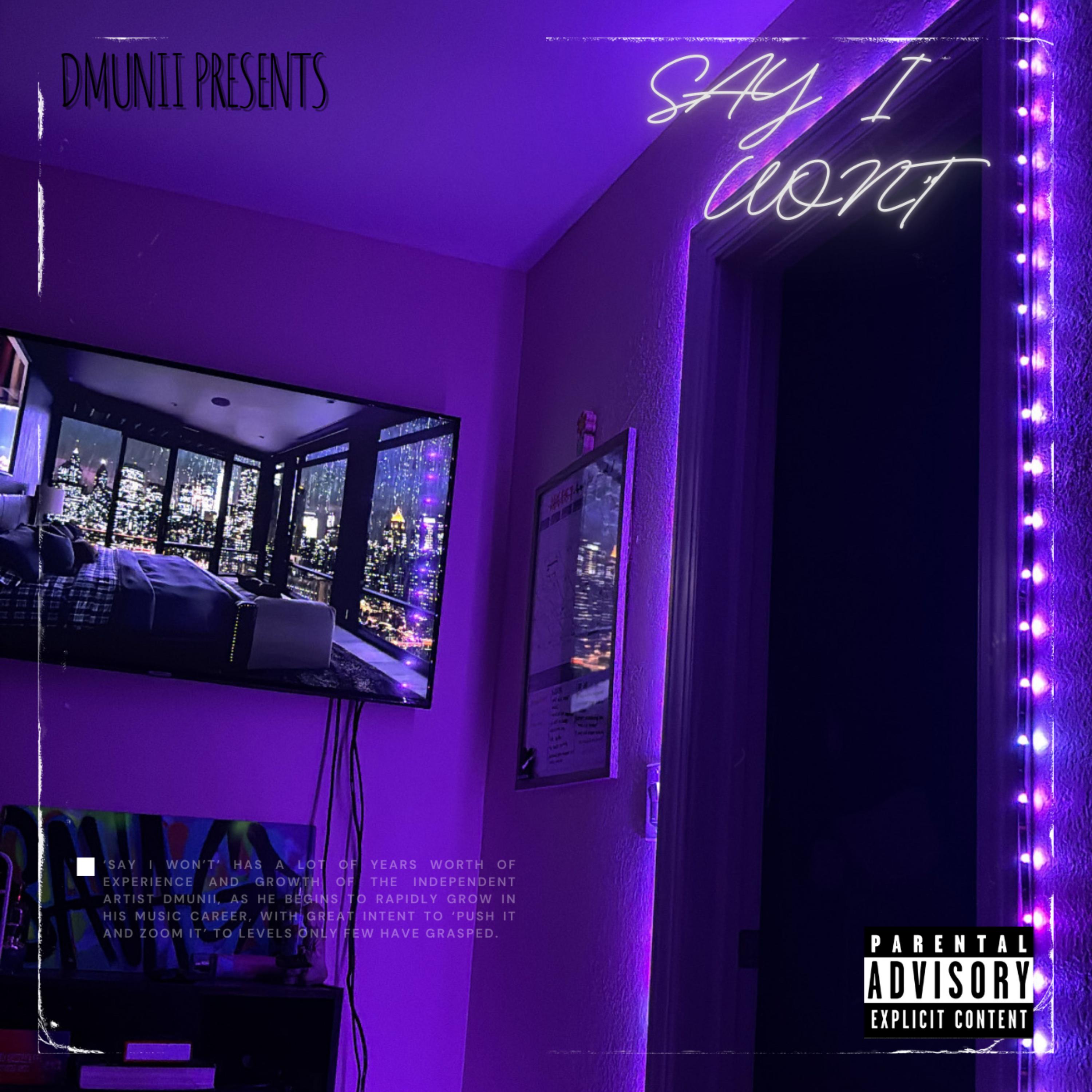Say I Won’t artwork