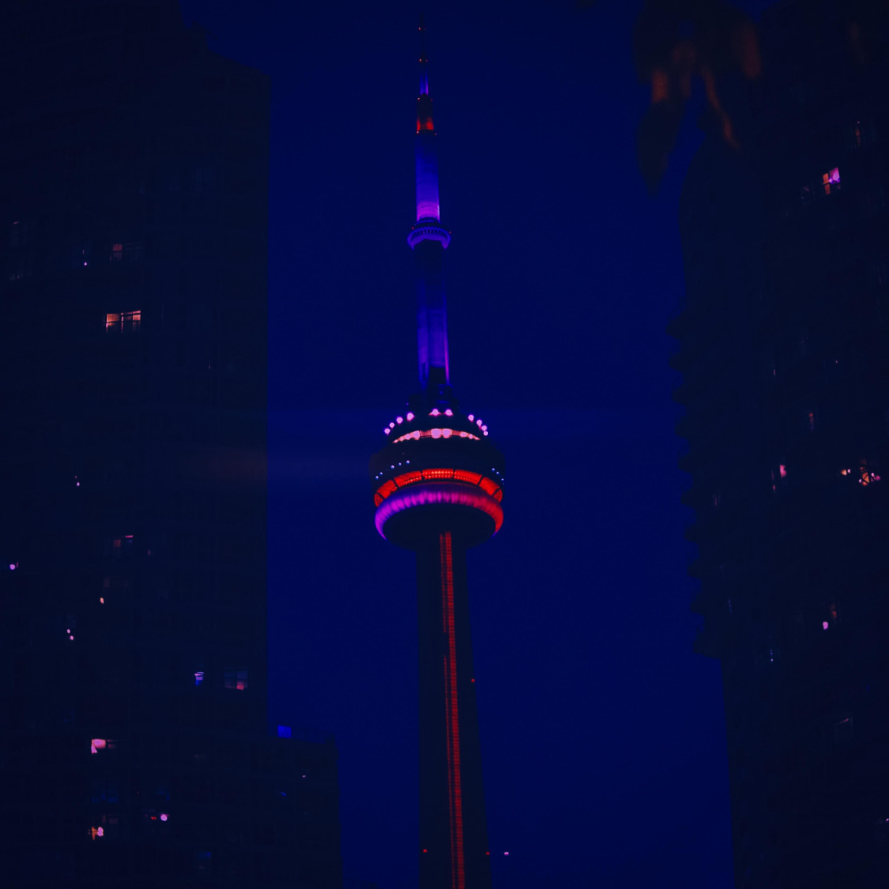 IN THE NIGHT artwork