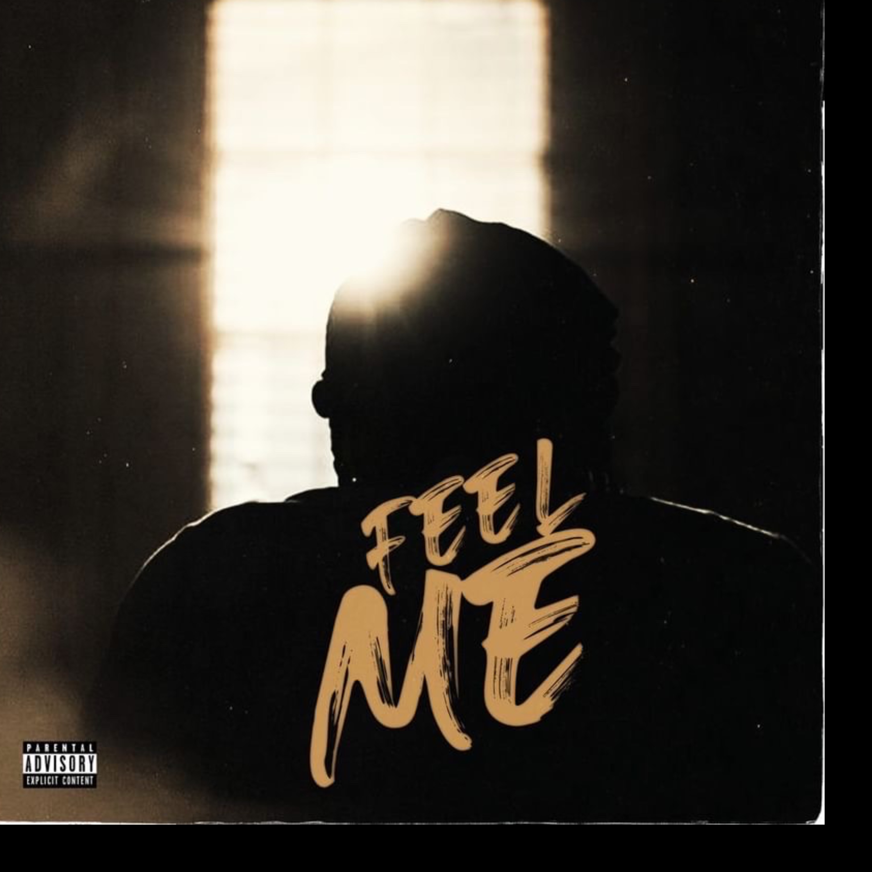 Feel Me artwork