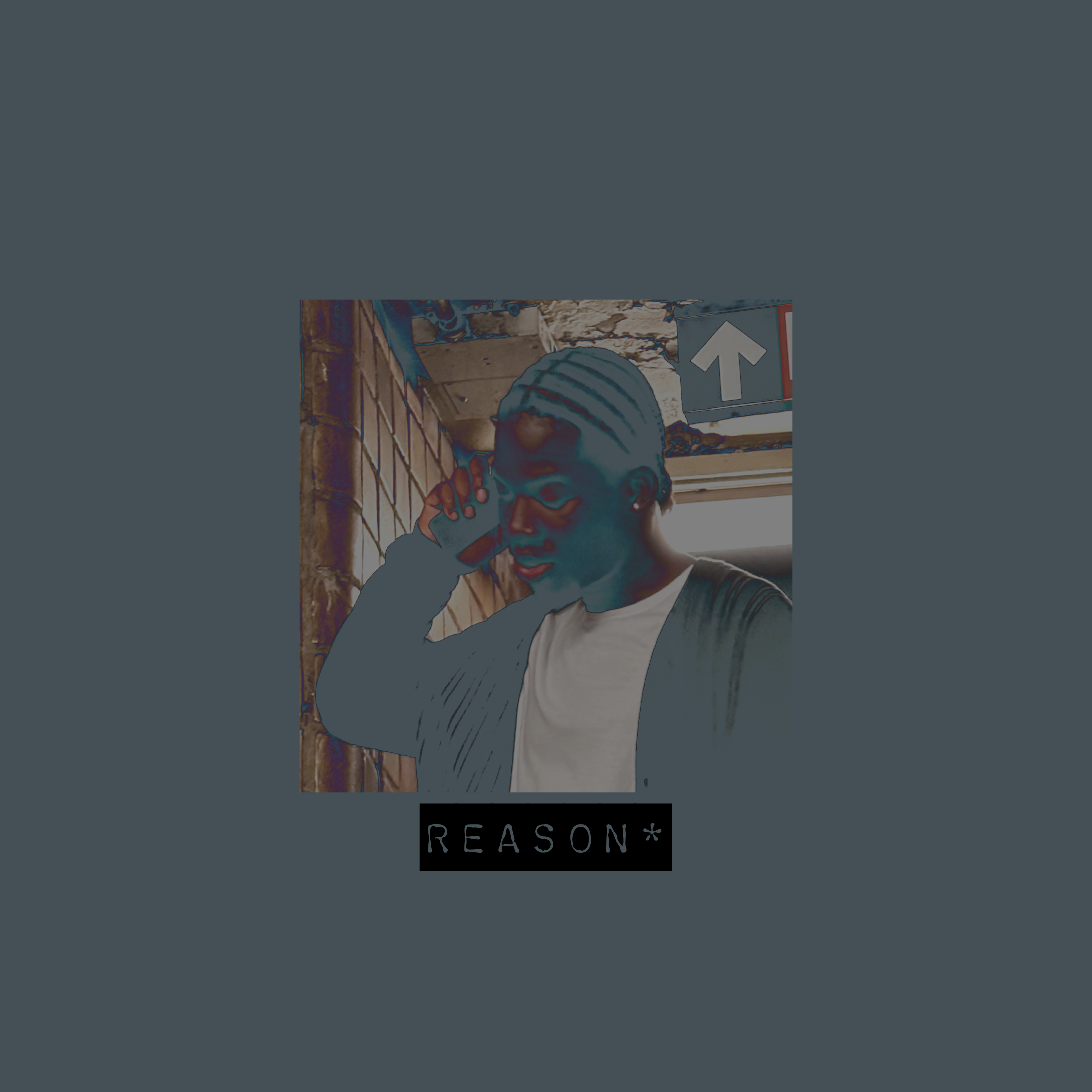 Reason* artwork