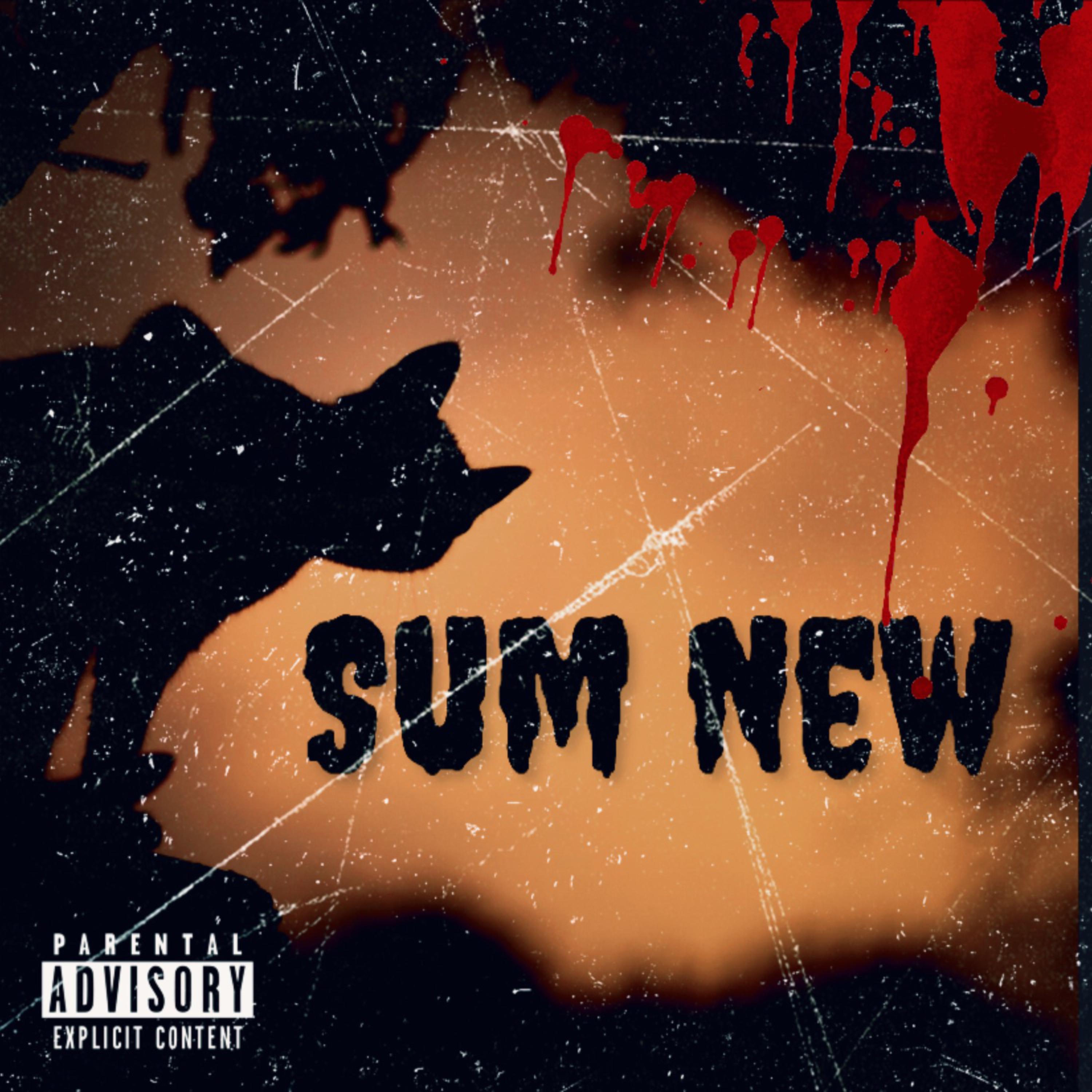 Sum New by Bloccbby cover art